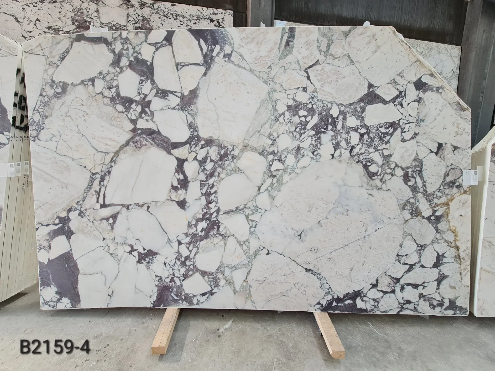 B2159 - Calacatta Viola Honed