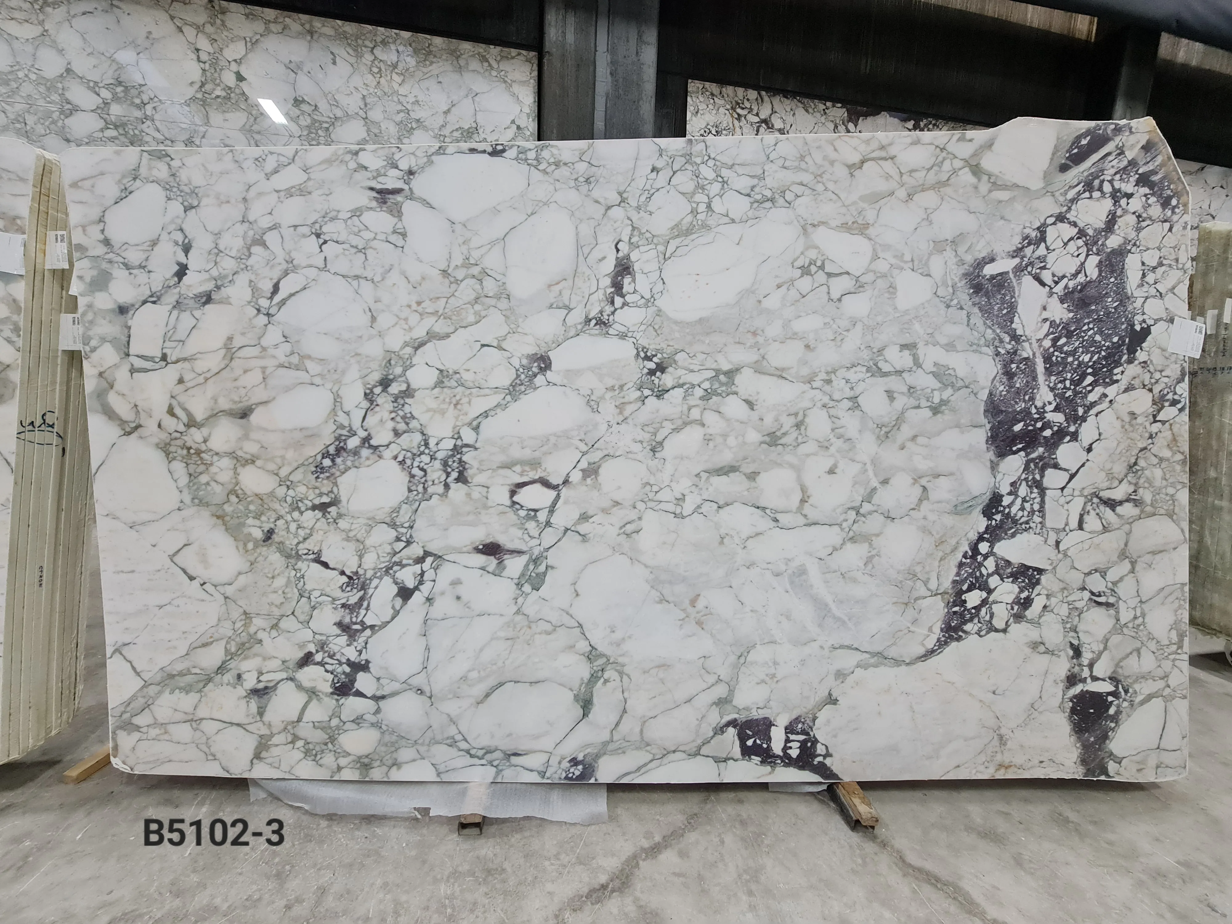 B5102 - 2 CM Calacatta Viola Honed