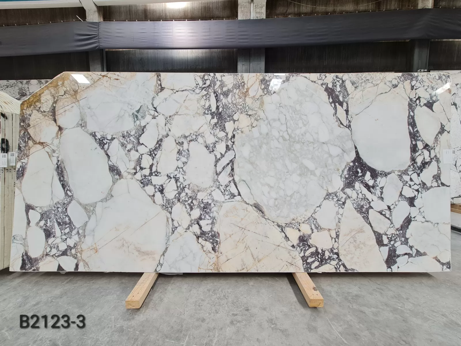 B2123 - Calacatta Viola Polished