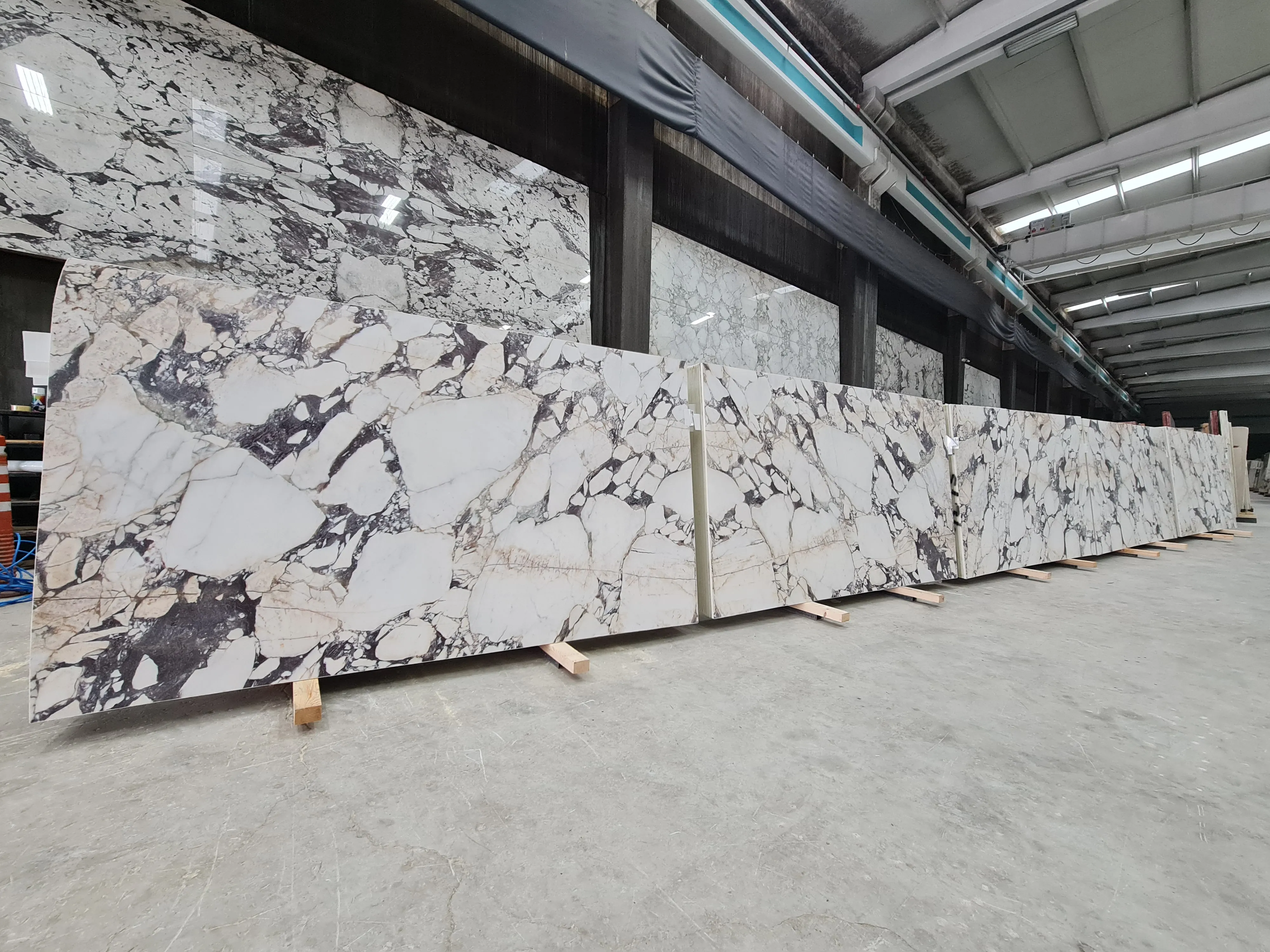 B5134 - 2 CM Calacatta Viola Honed