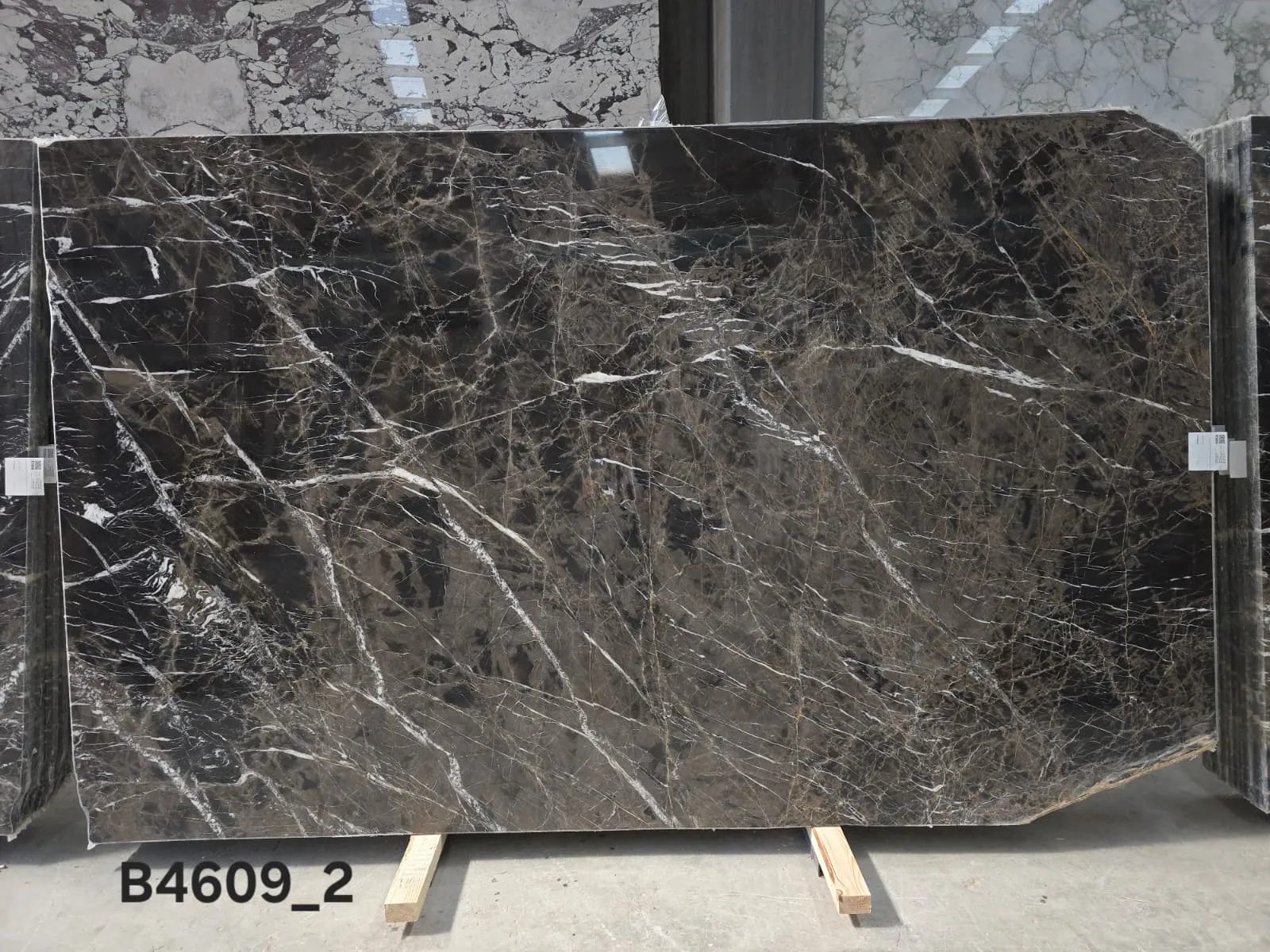 B4609 - 2 CM Bruno Perla Polished