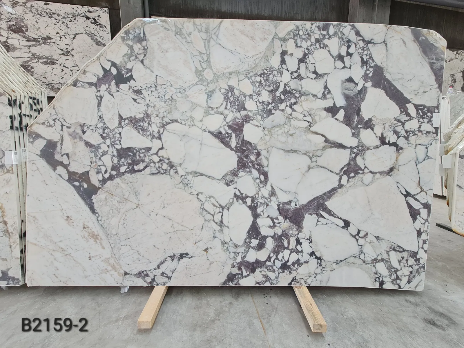 B2159 - Calacatta Viola Honed