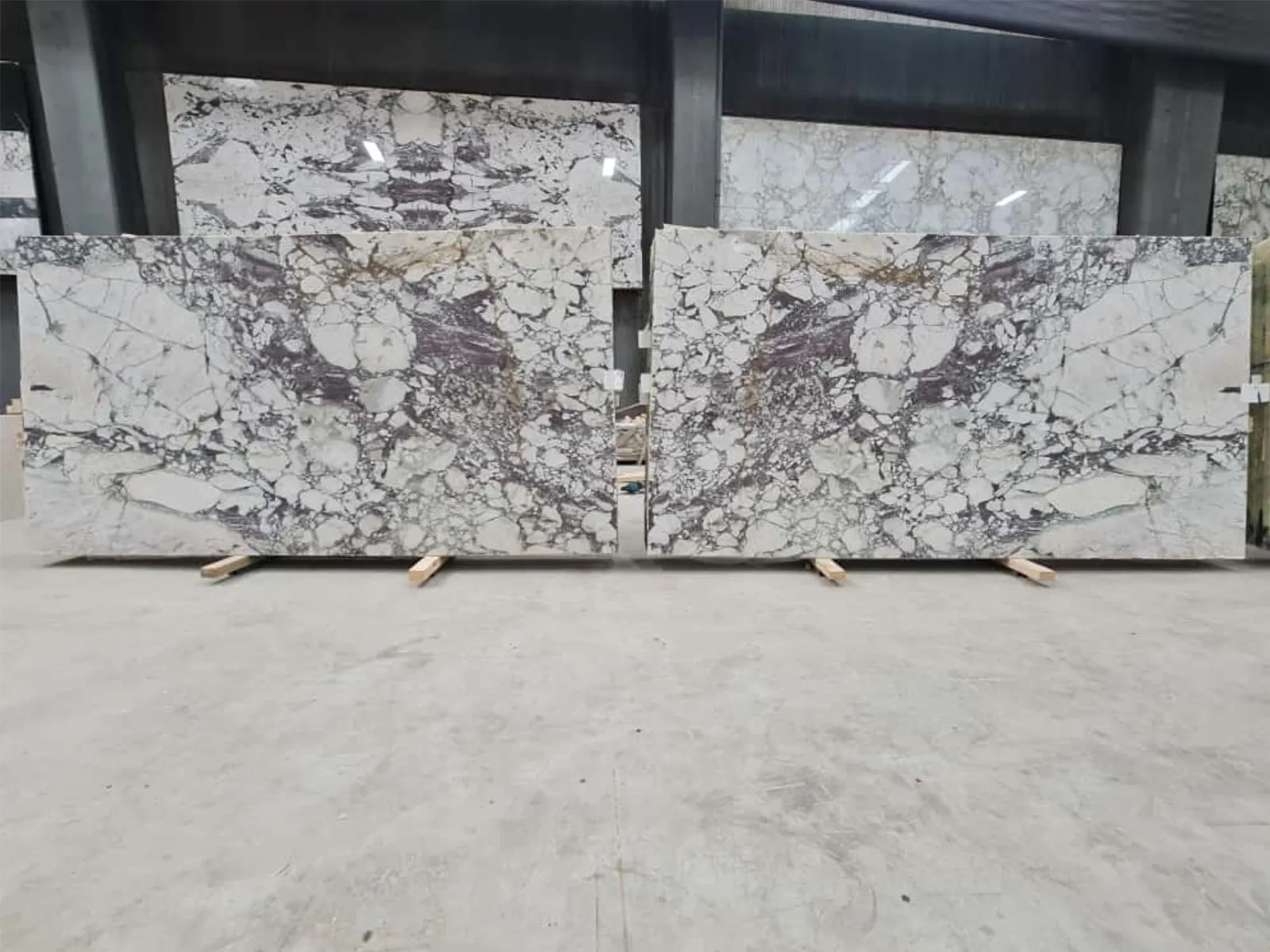 B4612 - 2 CM Calacatta Viola Honed