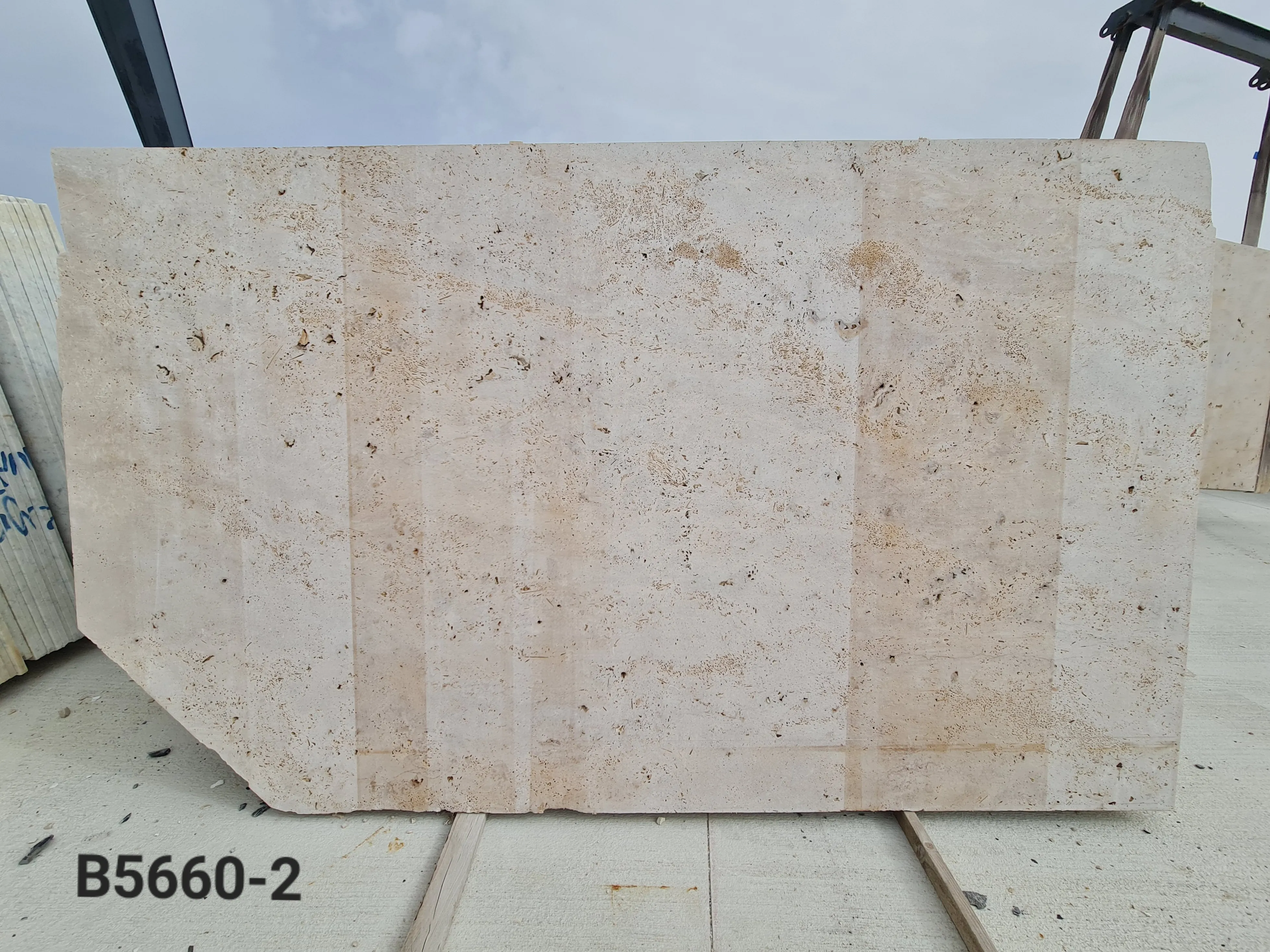 B5660 - 2 CM Light Travertine Crosscut Unfilled Raw