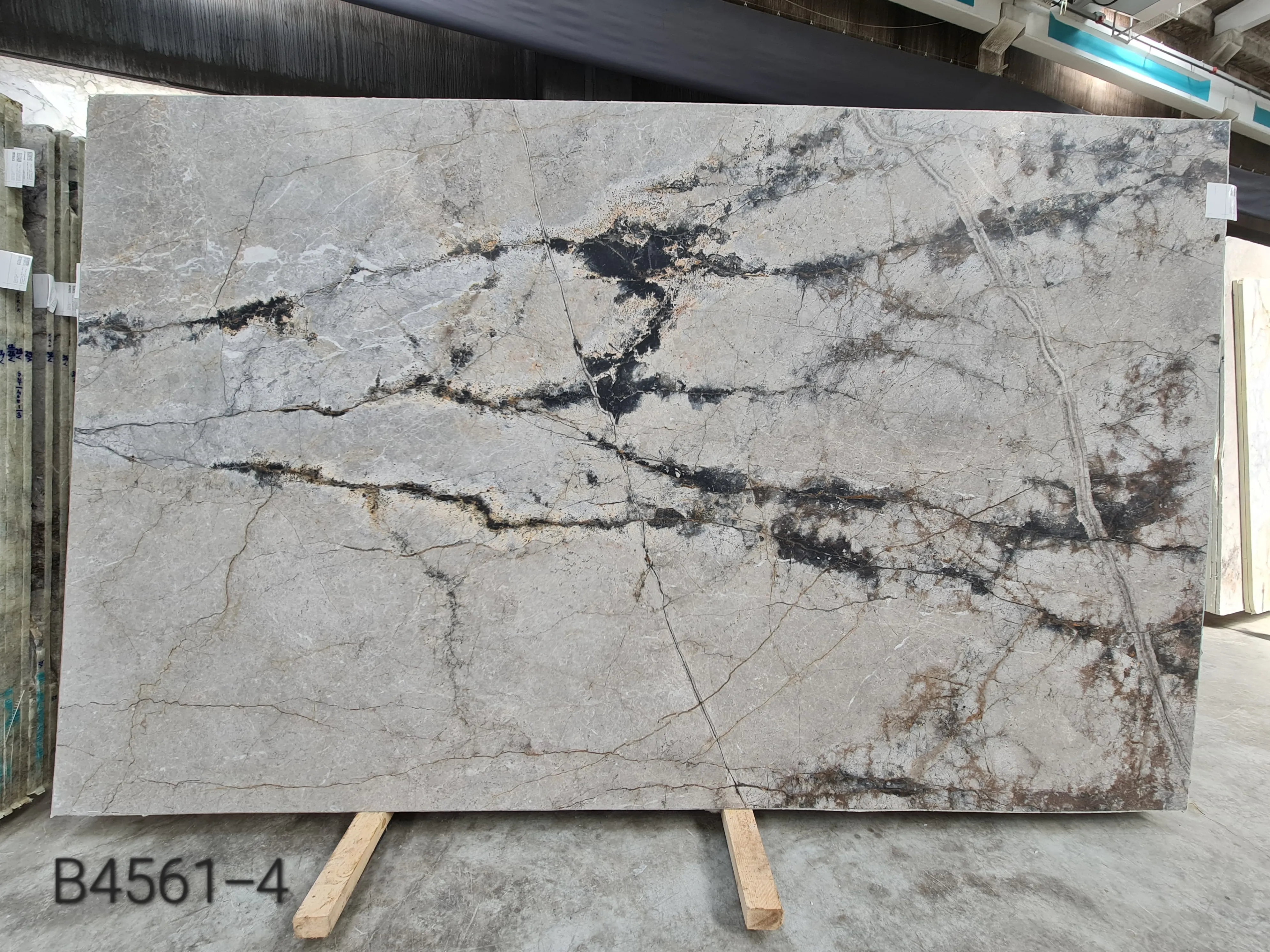 B4651 - 2 CM Silver Roots Honed