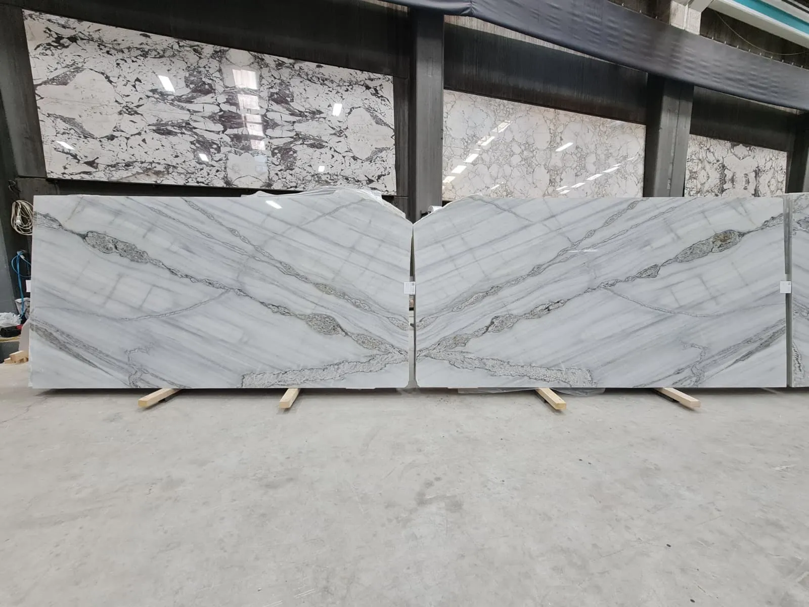 B2279 - 2 CM Platinum White Polished