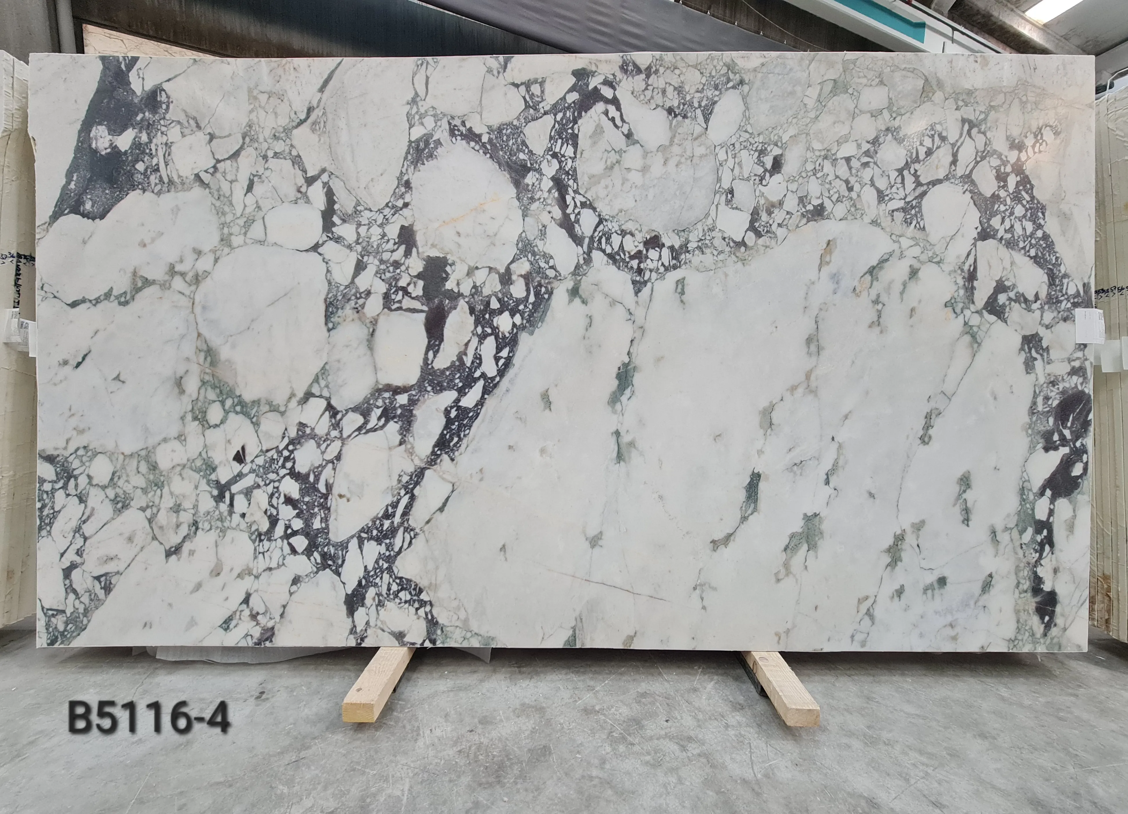 B5116 - 2 CM Calacatta Viola Honed