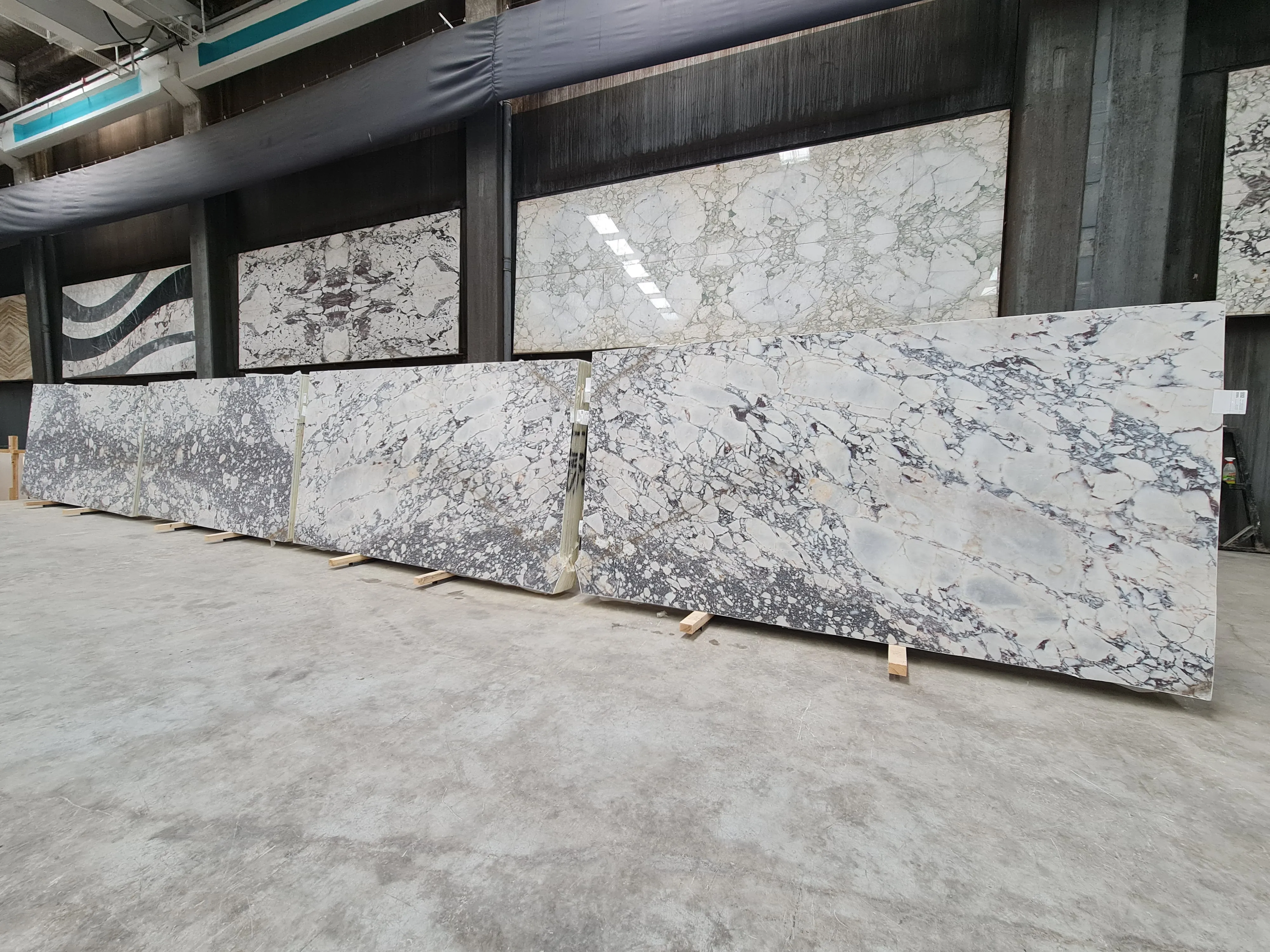 B6155 - 2 CM Calacatta Viola Honed