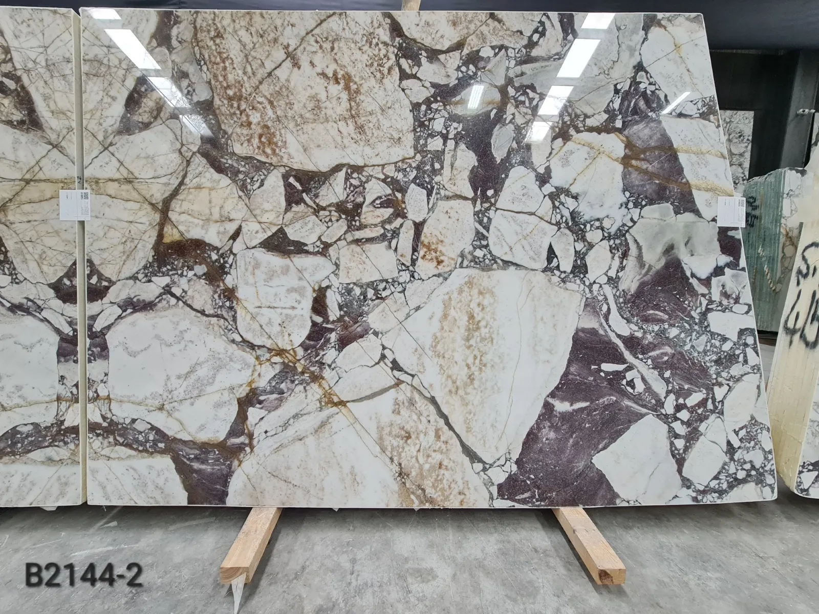 B2144 - 2 CM Calacatta Viola Polished