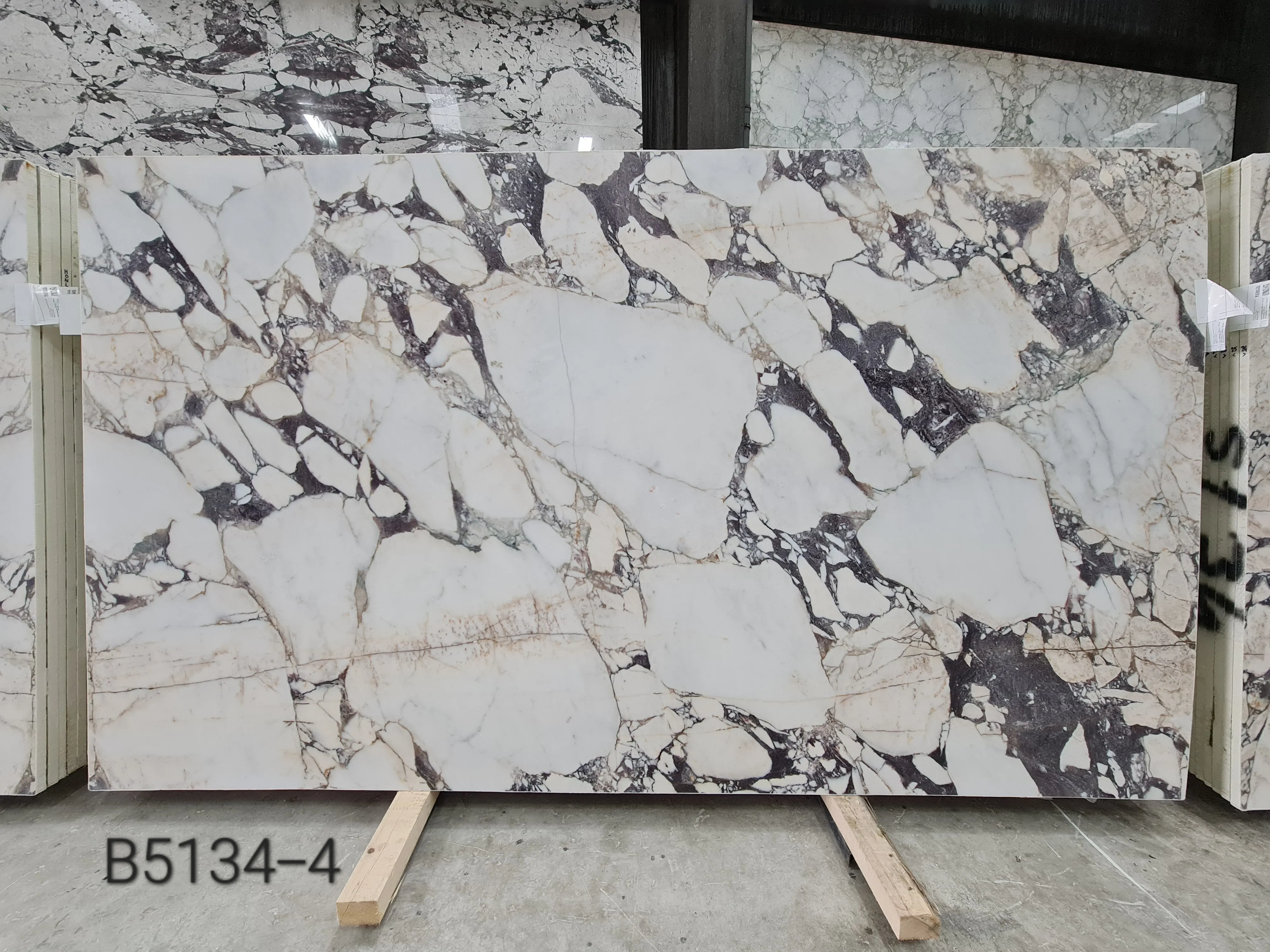 B5134 - 2 CM Calacatta Viola Honed