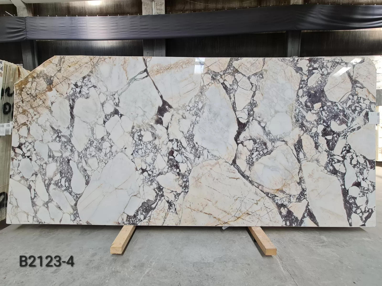 B2123 - Calacatta Viola Polished