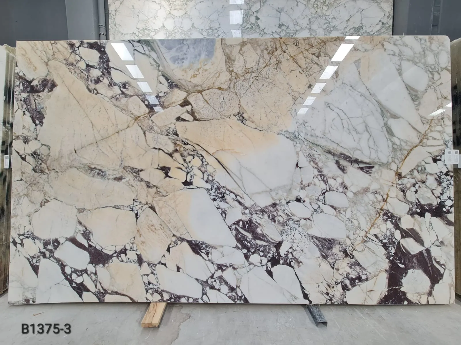 B1375 - 2 CM Calacatta Viola Polished