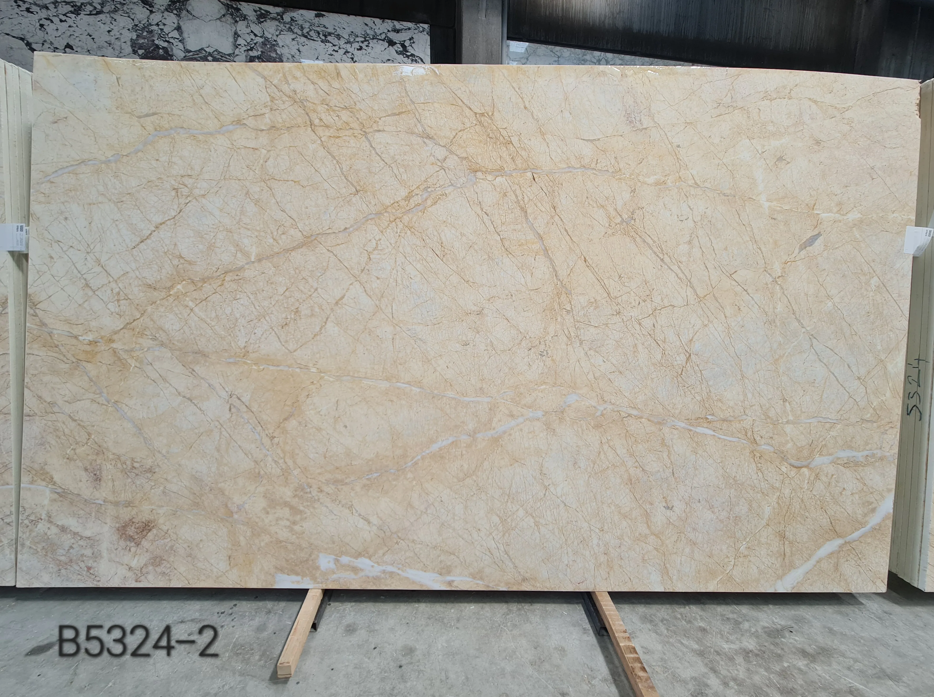 B5324 - 2 CM Golden Spider Dolomite Honed
