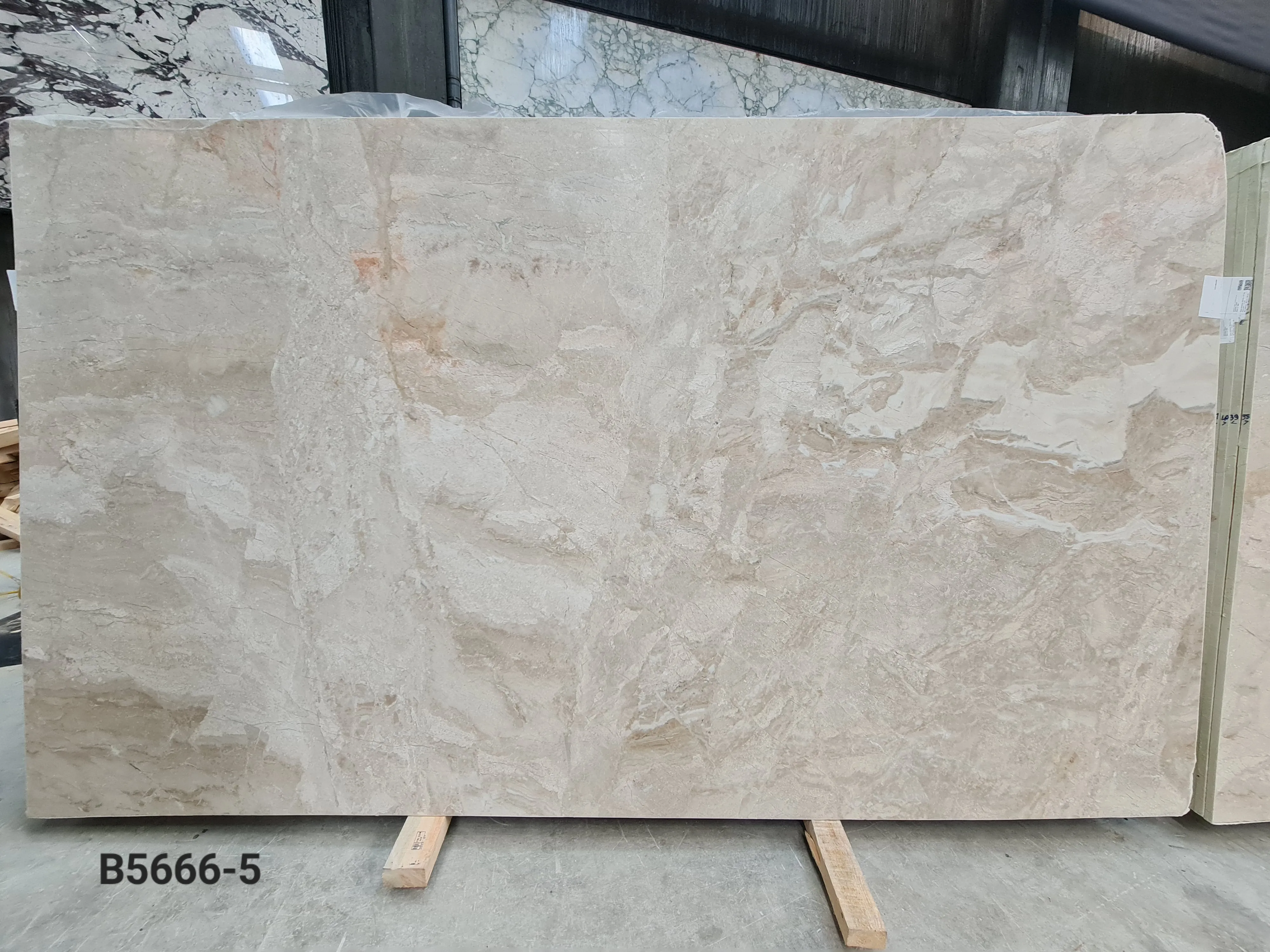 B5666 - 2 CM Diana Royal Honed