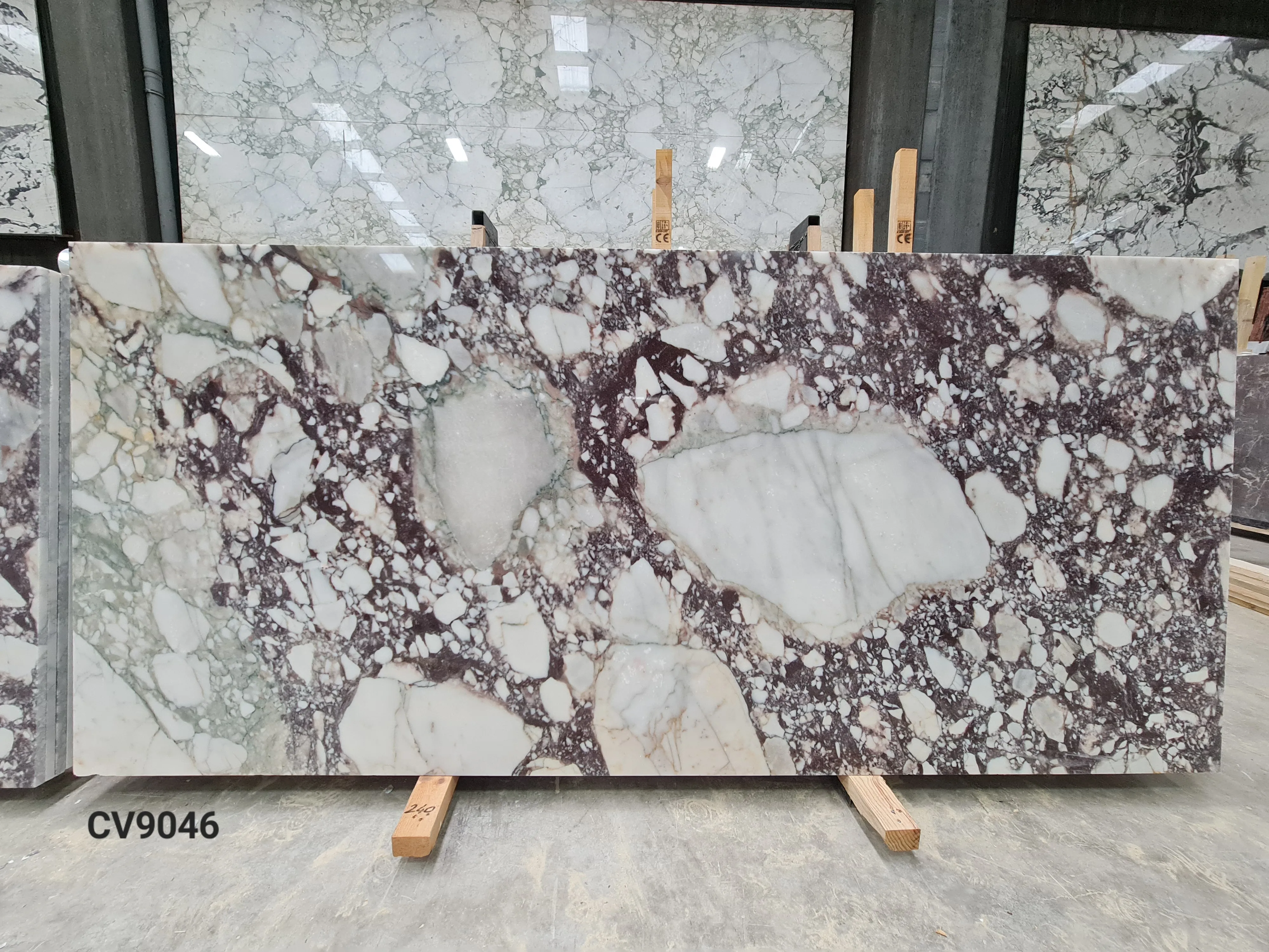 BCV90 - 2 CM Calacatta Viola Polished