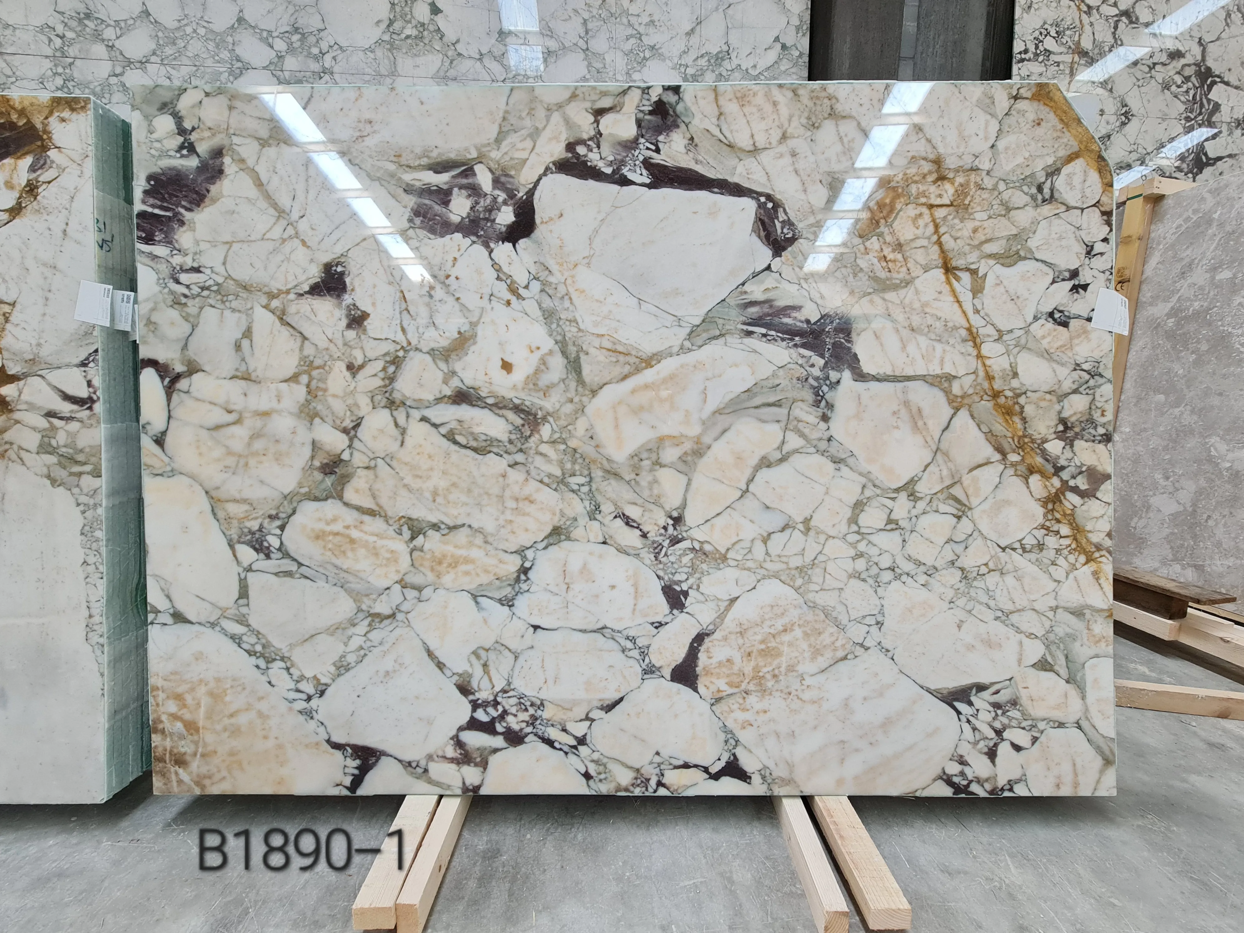 B1890 - 2 CM Calacatta Viola Polished