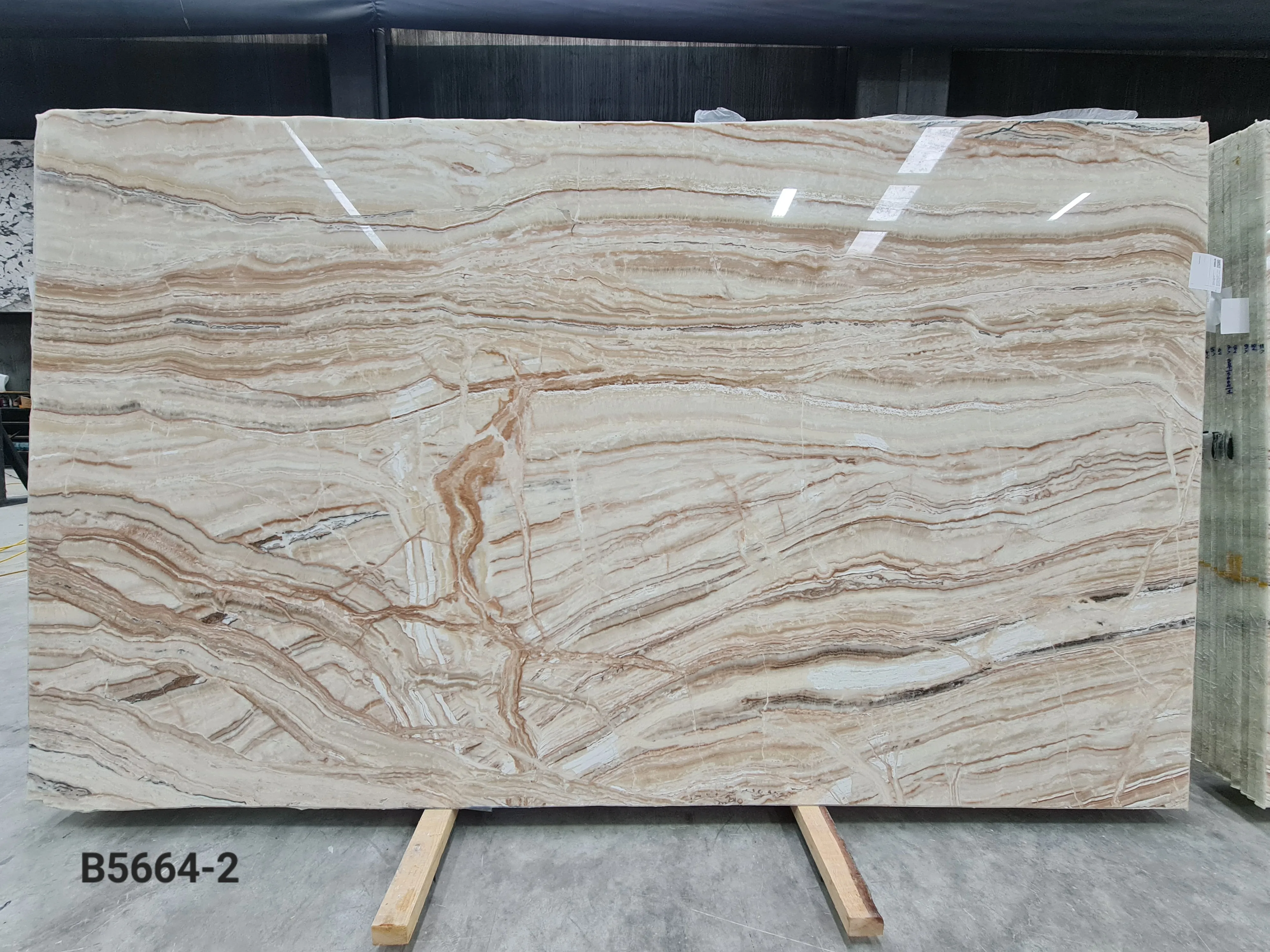 B5664 - 2 CM Jurassic Onyx Polished