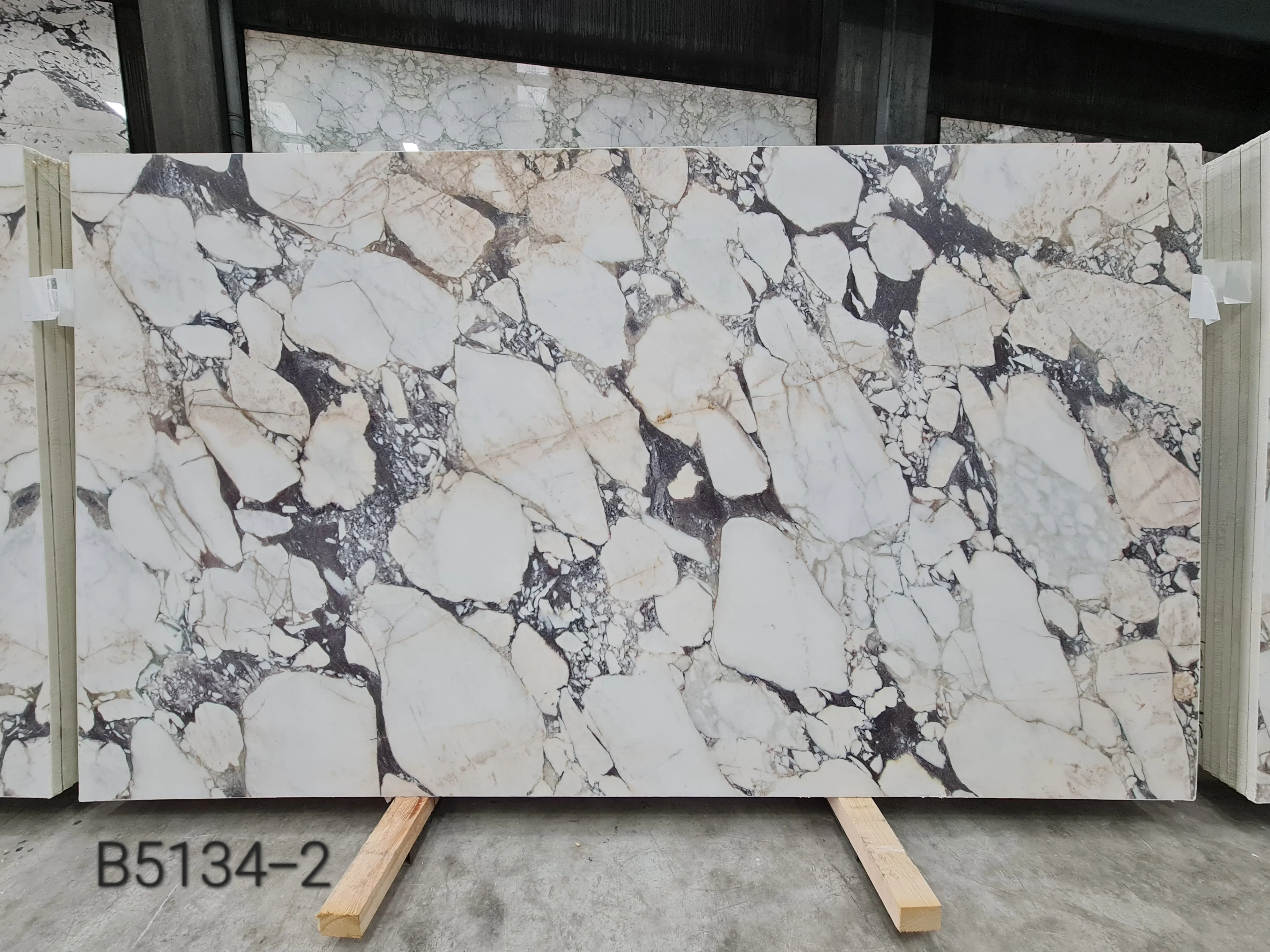 B5134 - 2 CM Calacatta Viola Honed