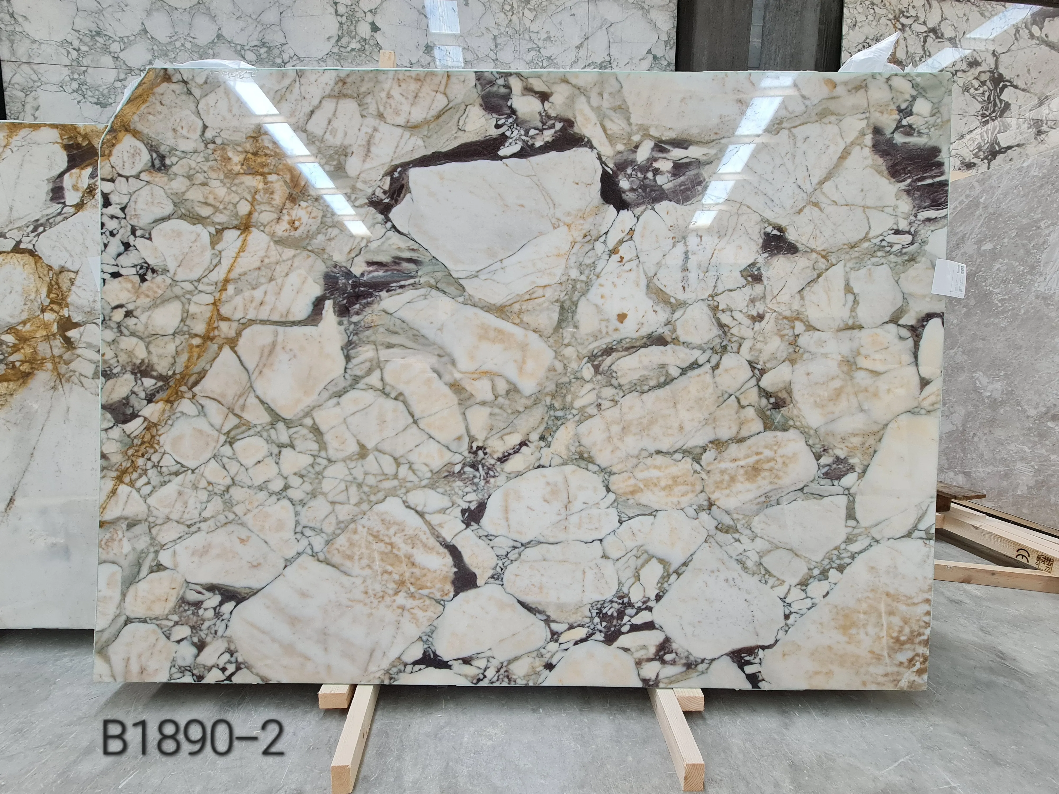 B1890 - 2 CM Calacatta Viola Polished