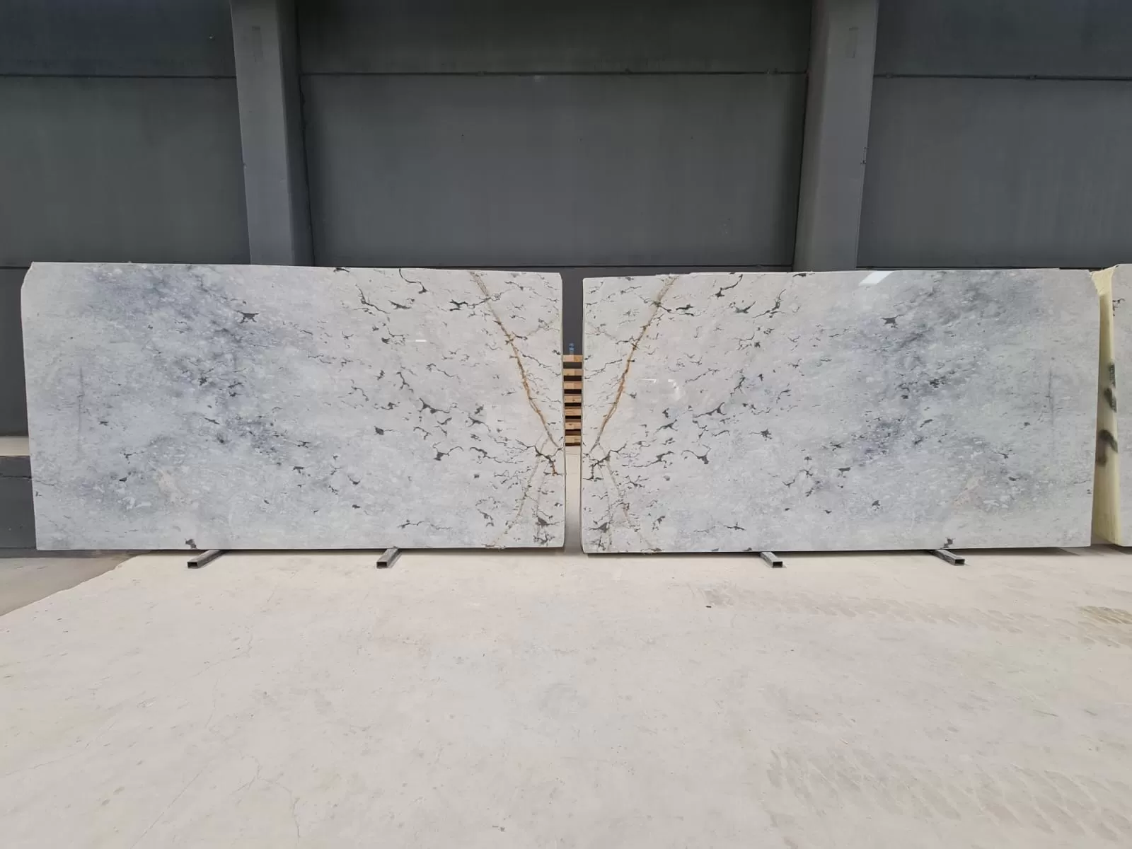 B1884 - 2CM Paonazzo Blu Polished