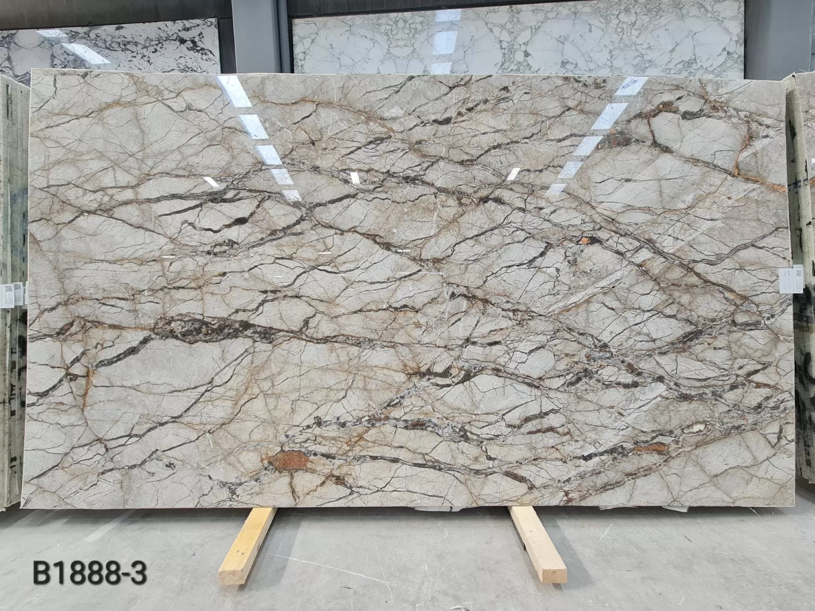 B1888 - 2CM Silver Roots Polished