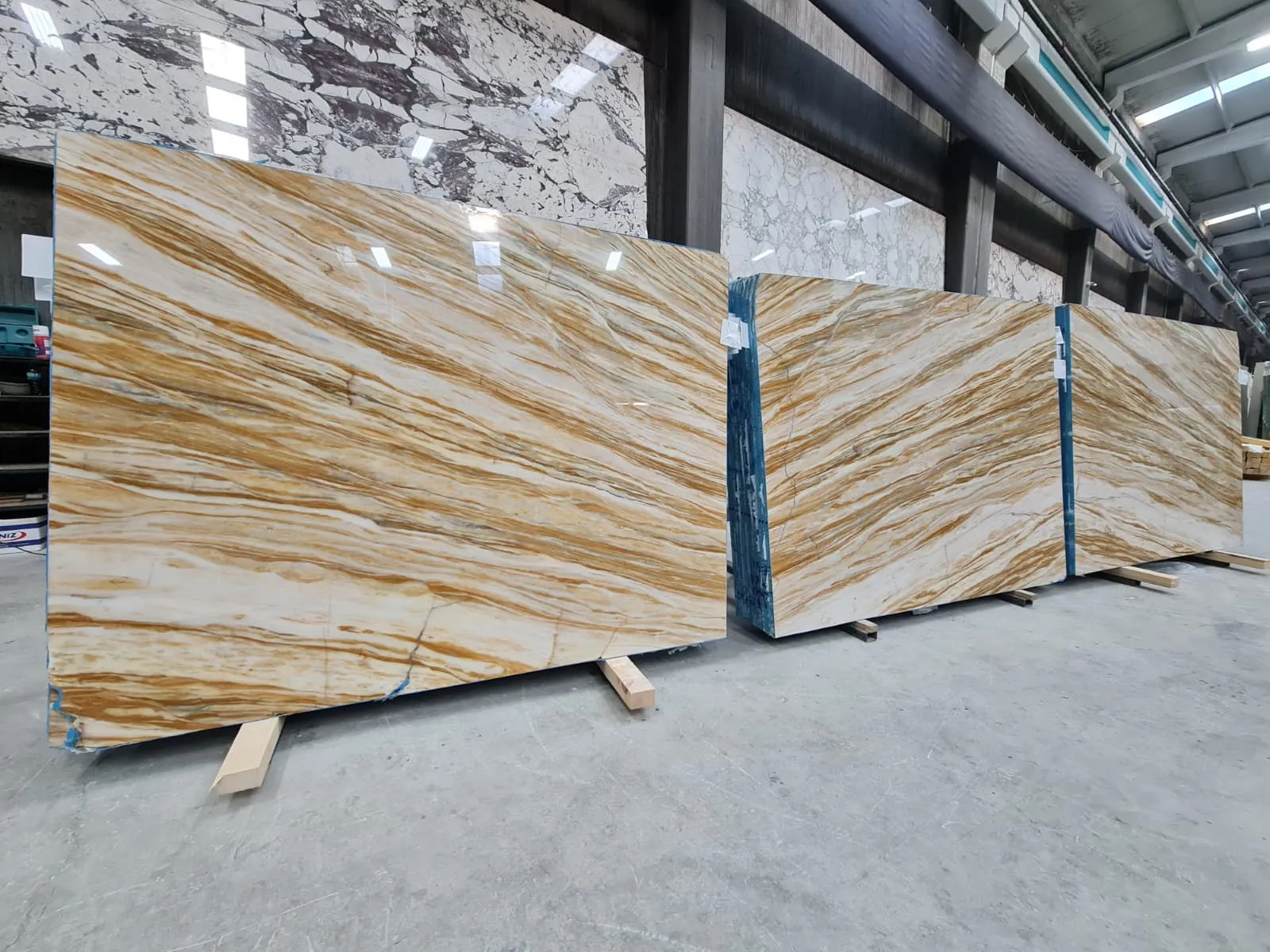 B5574 - 2 CM Giallo Zebrino Polished