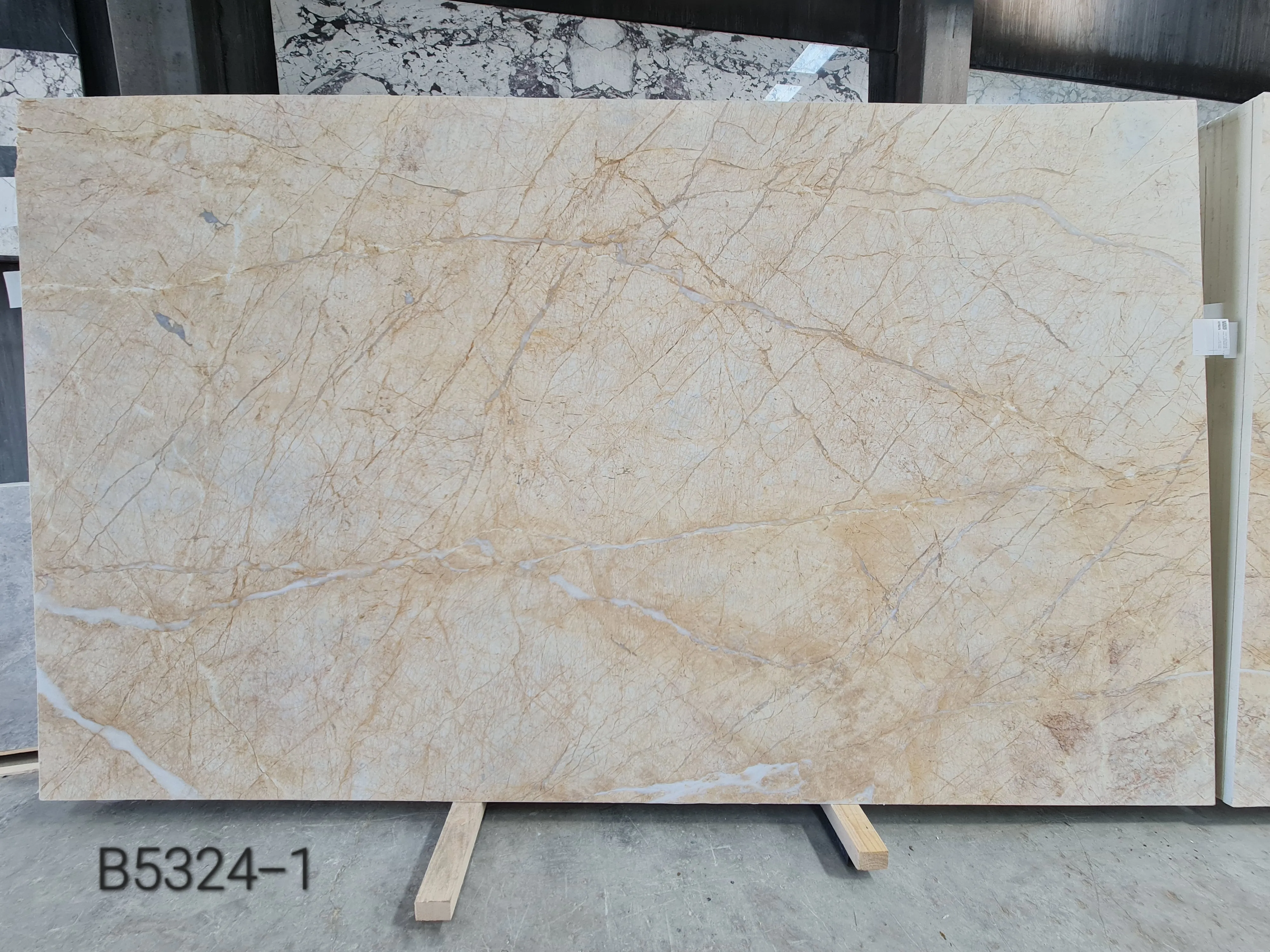 B5324 - 2 CM Golden Spider Dolomite Honed