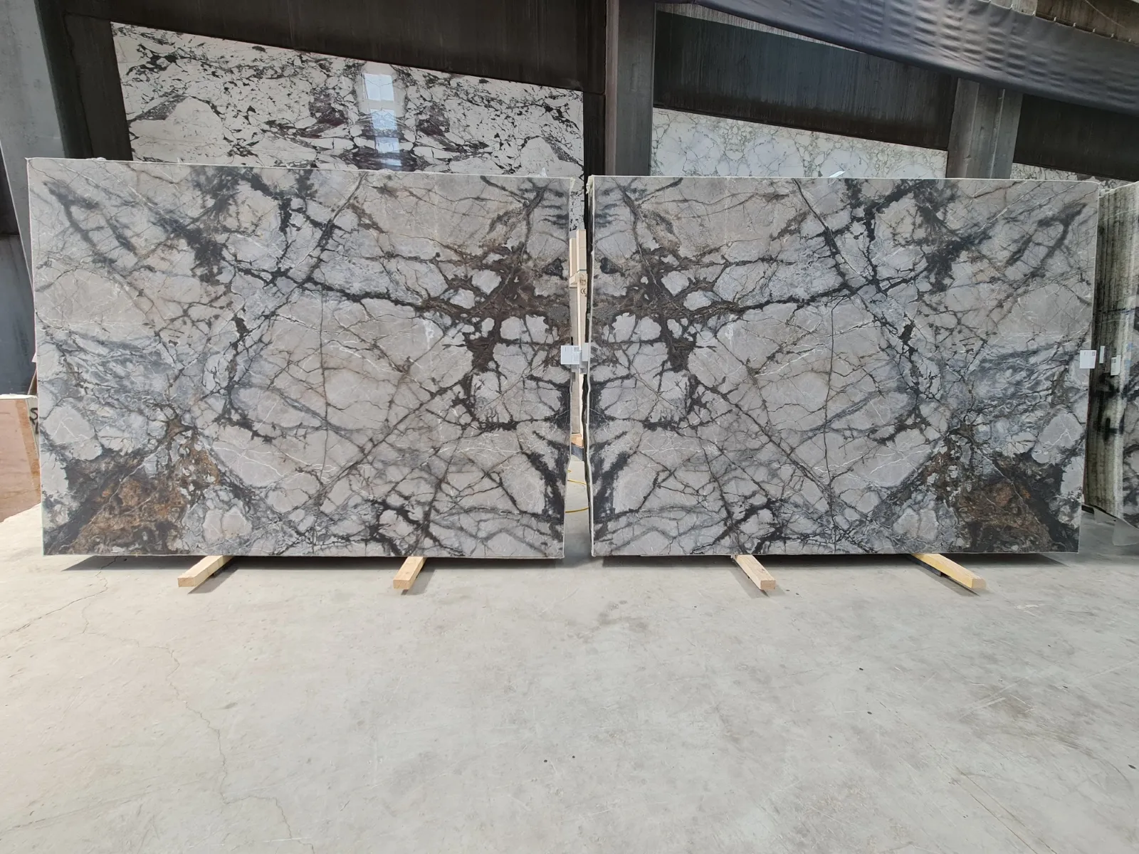 B2234 - Silver Root Honed