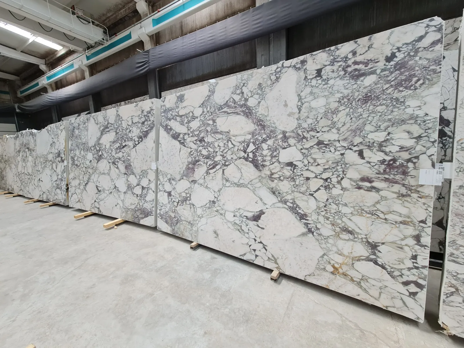 B2172 - 2 CM Calacatta Viola Honed