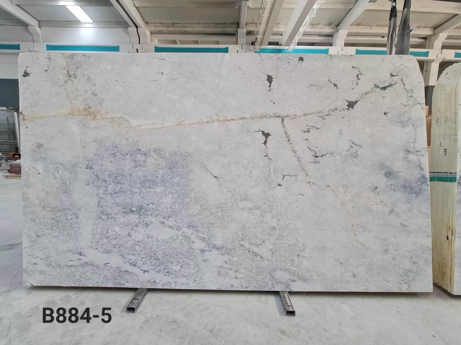 B1884 - 2CM Paonazzo Blu Polished
