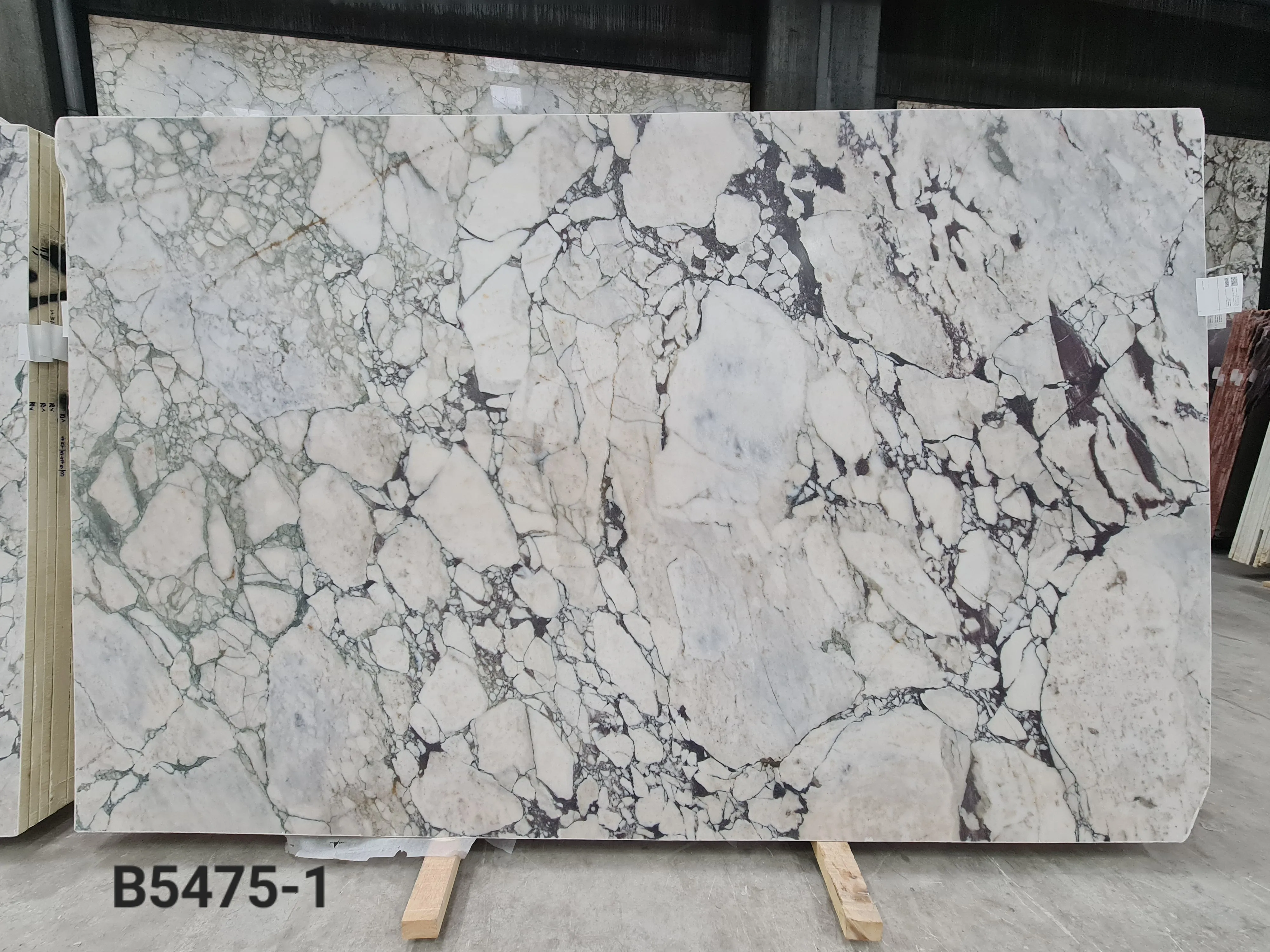 B5475 - 2 CM Calacatta Viola Honed