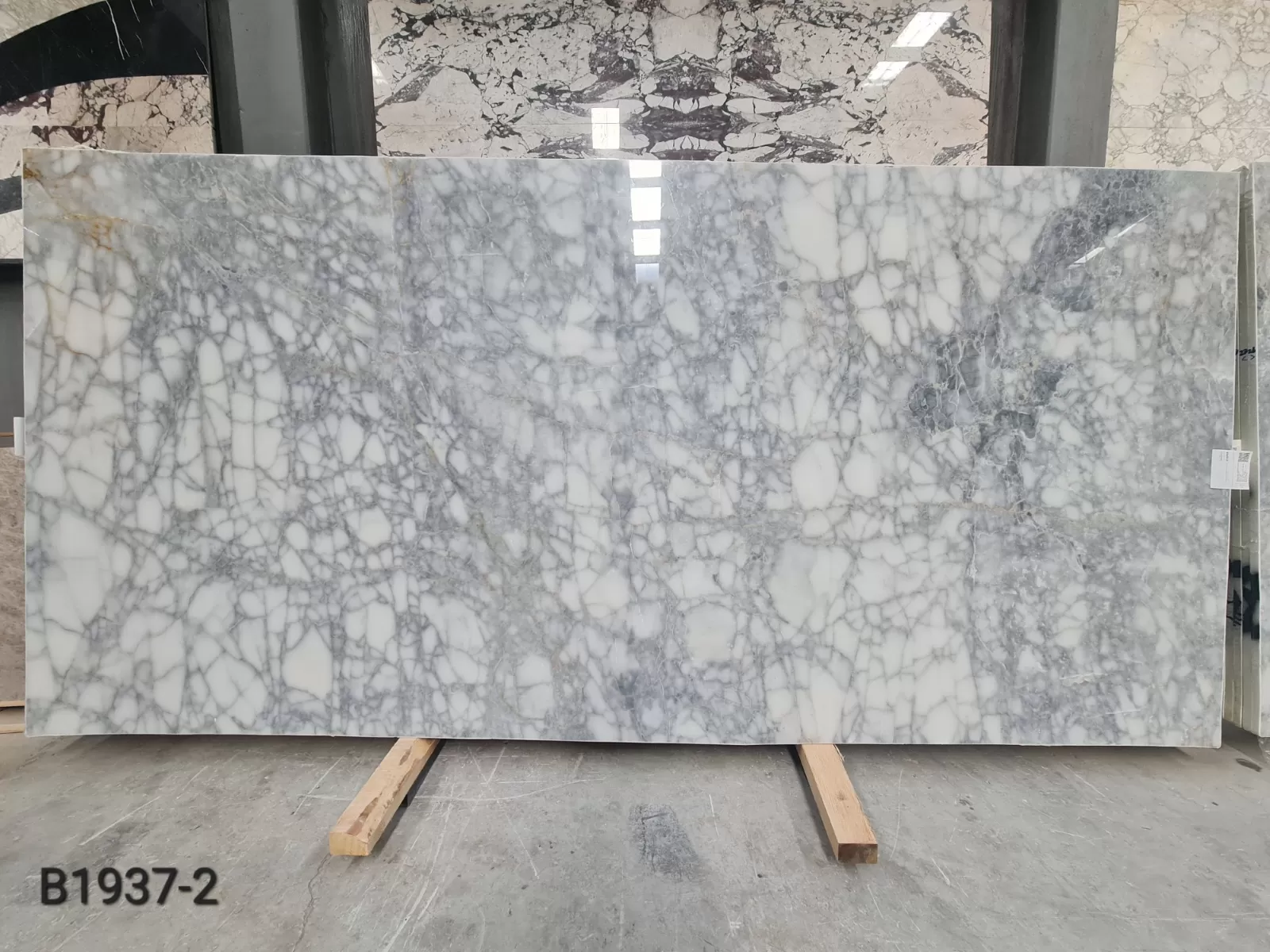 B1937 - 2CM BIANCO VENATO POLISHED