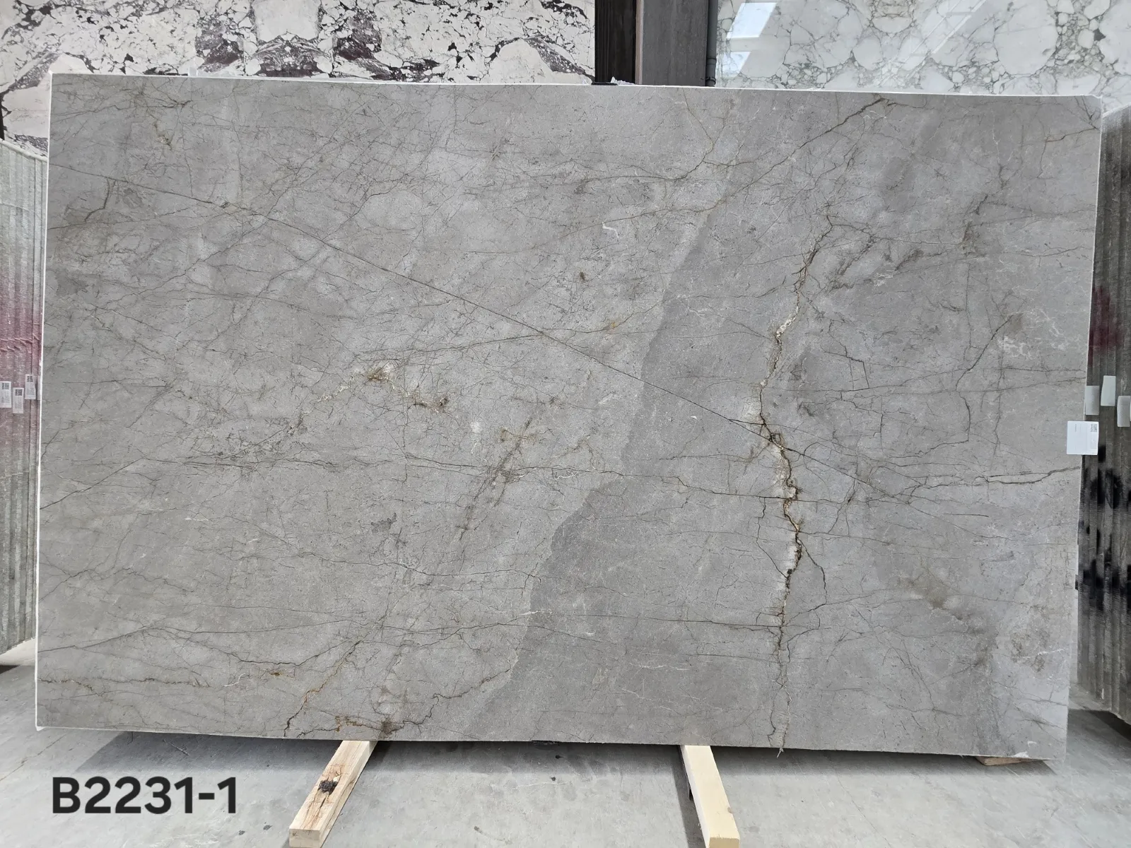B2231 - 2 CM Silver Roots Honed