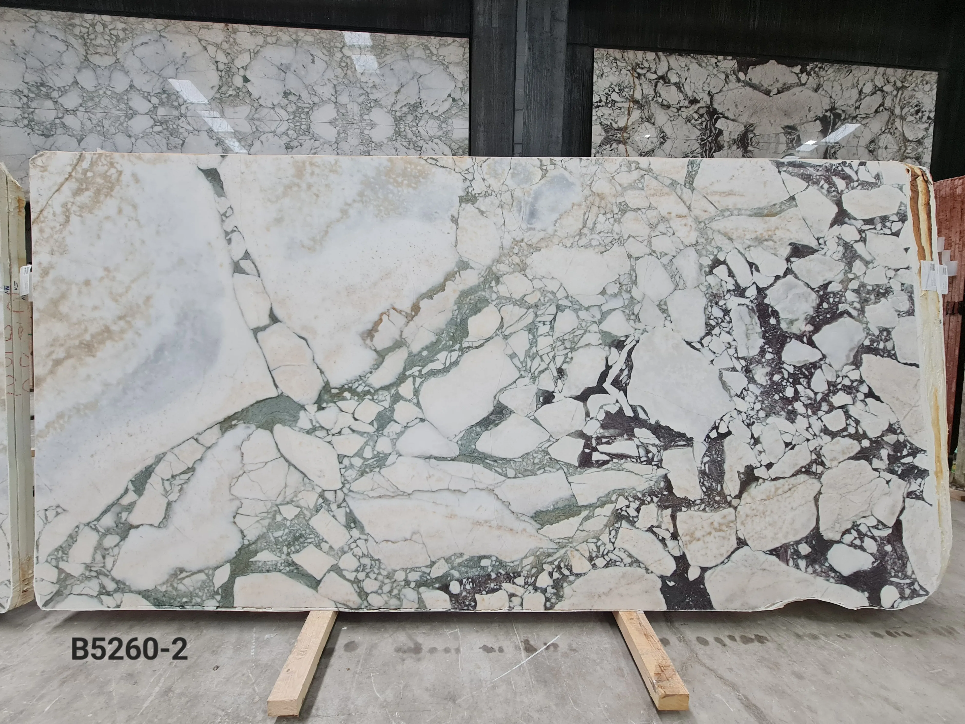 B5260 - 2 CM Calacatta Viola Honed