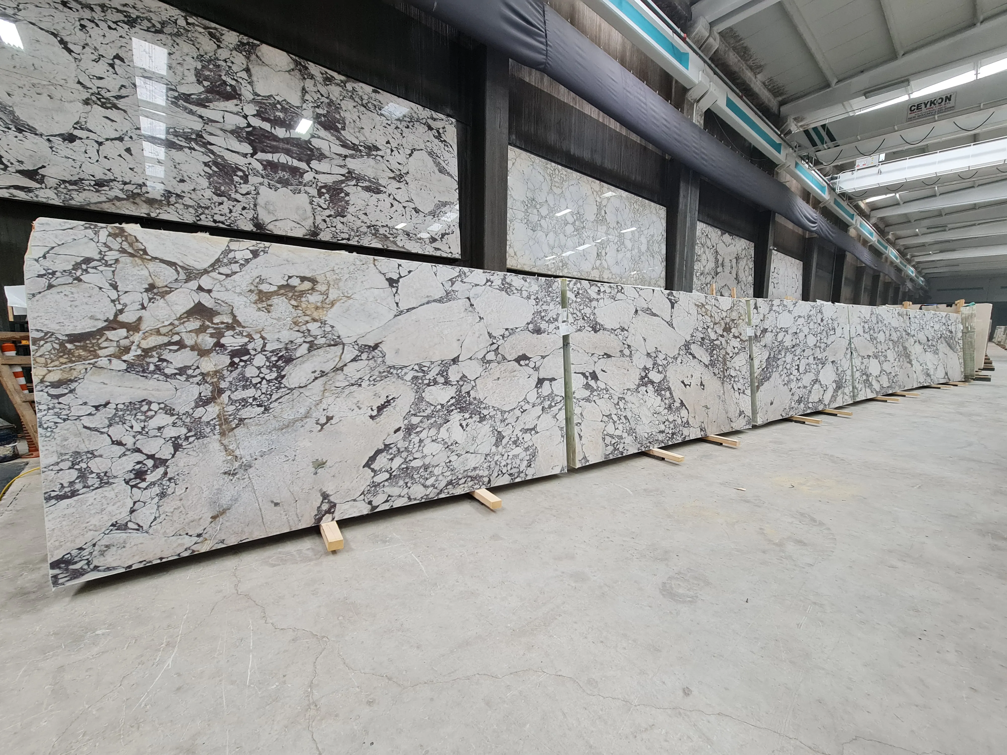 B5591 - 2 CM Calacatta Viola Honed