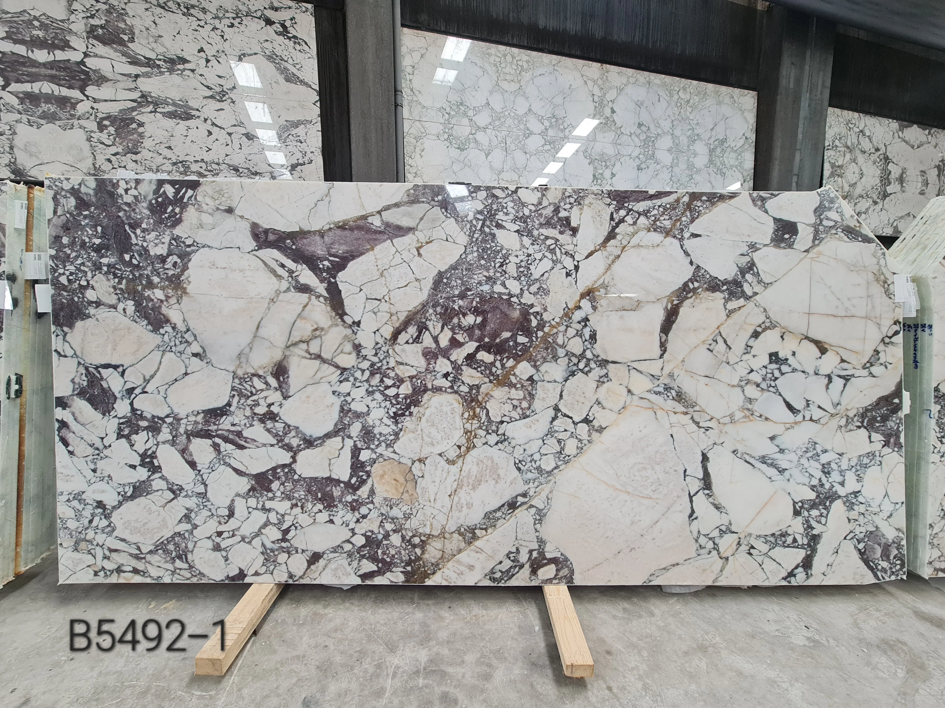 B5492 - 2 CM Calacatta Viola Polished