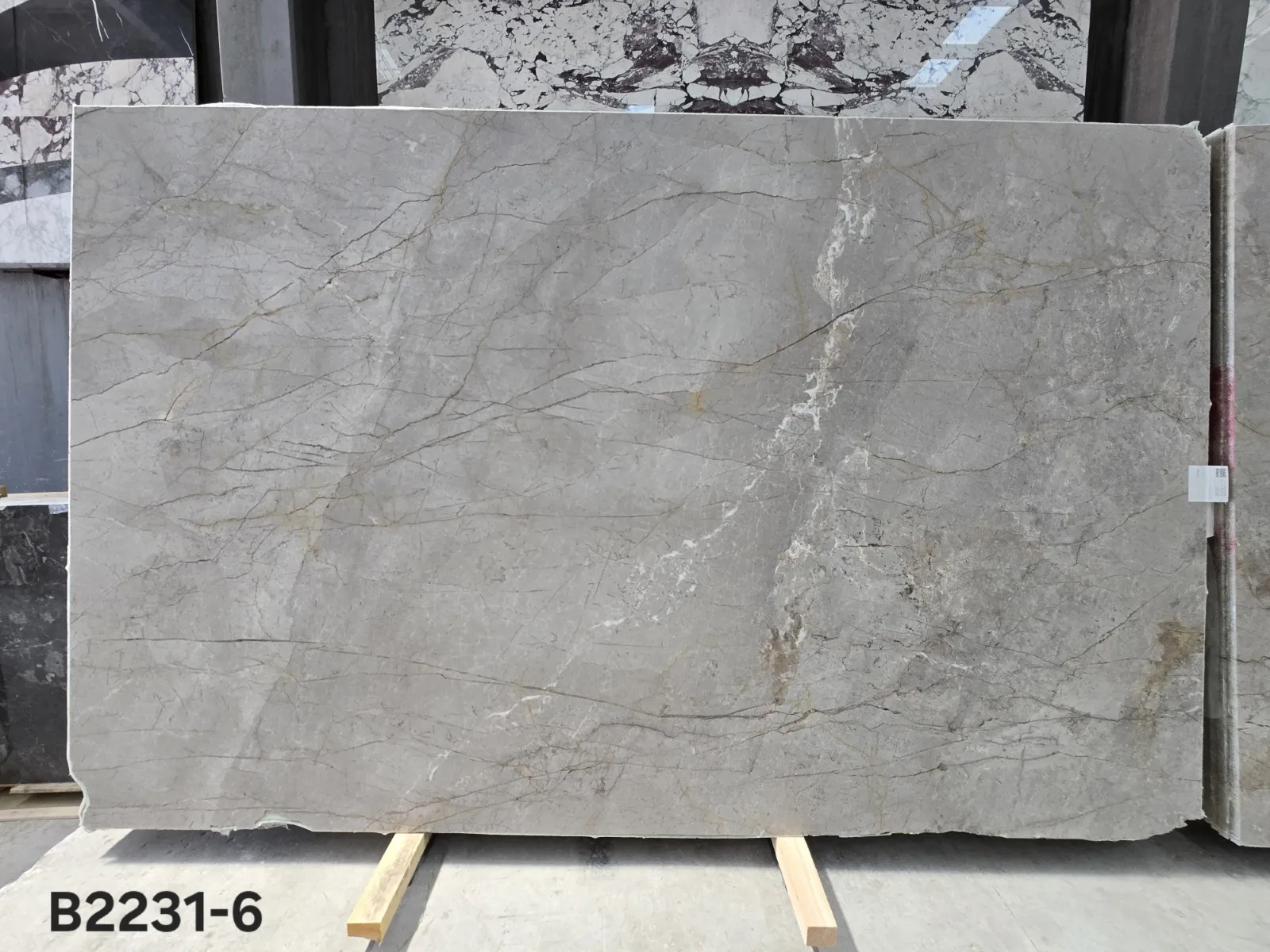 B2231 - 2 CM Silver Roots Honed