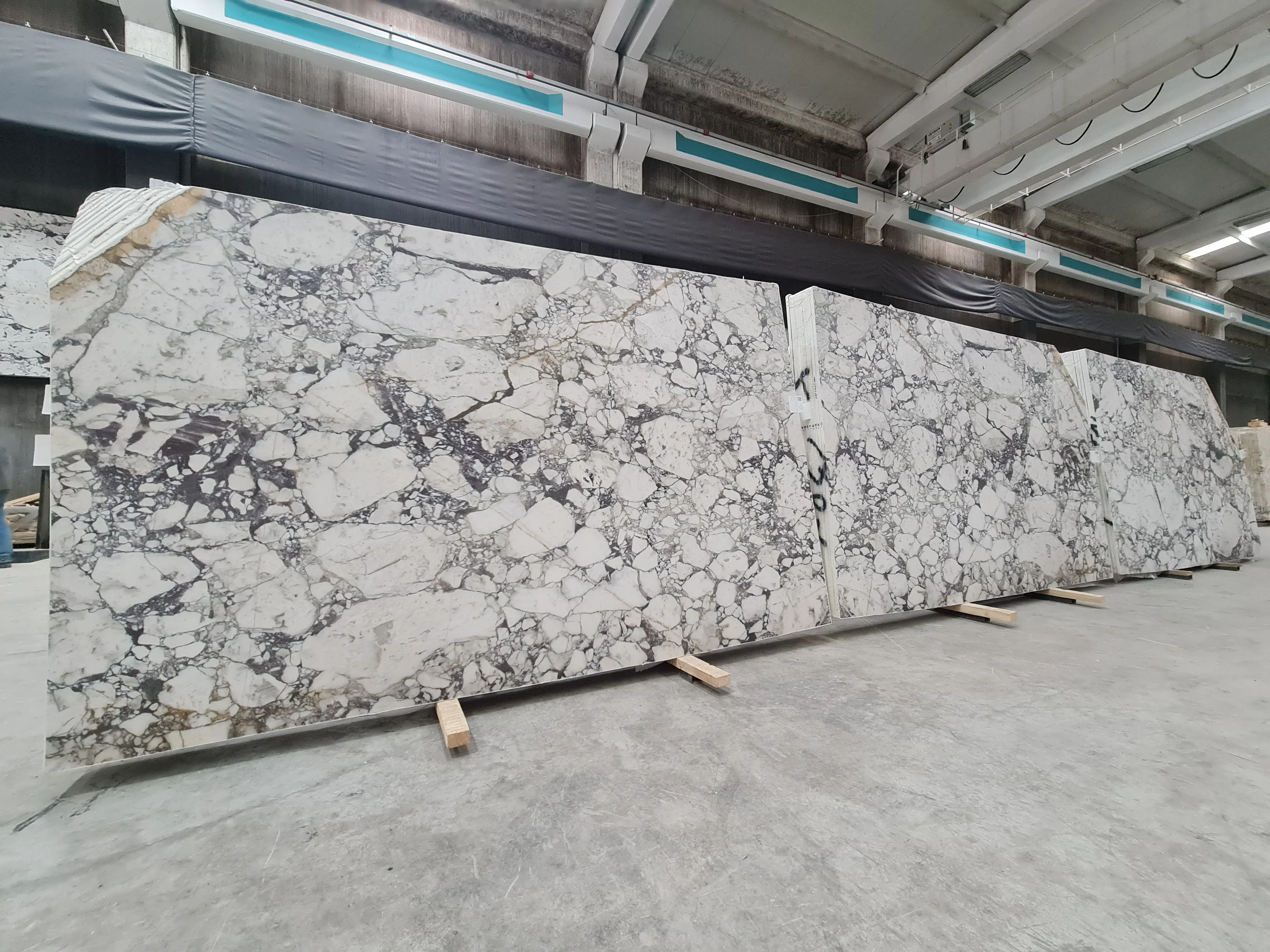 B4844 - 2 CM Calacatta Viola Honed