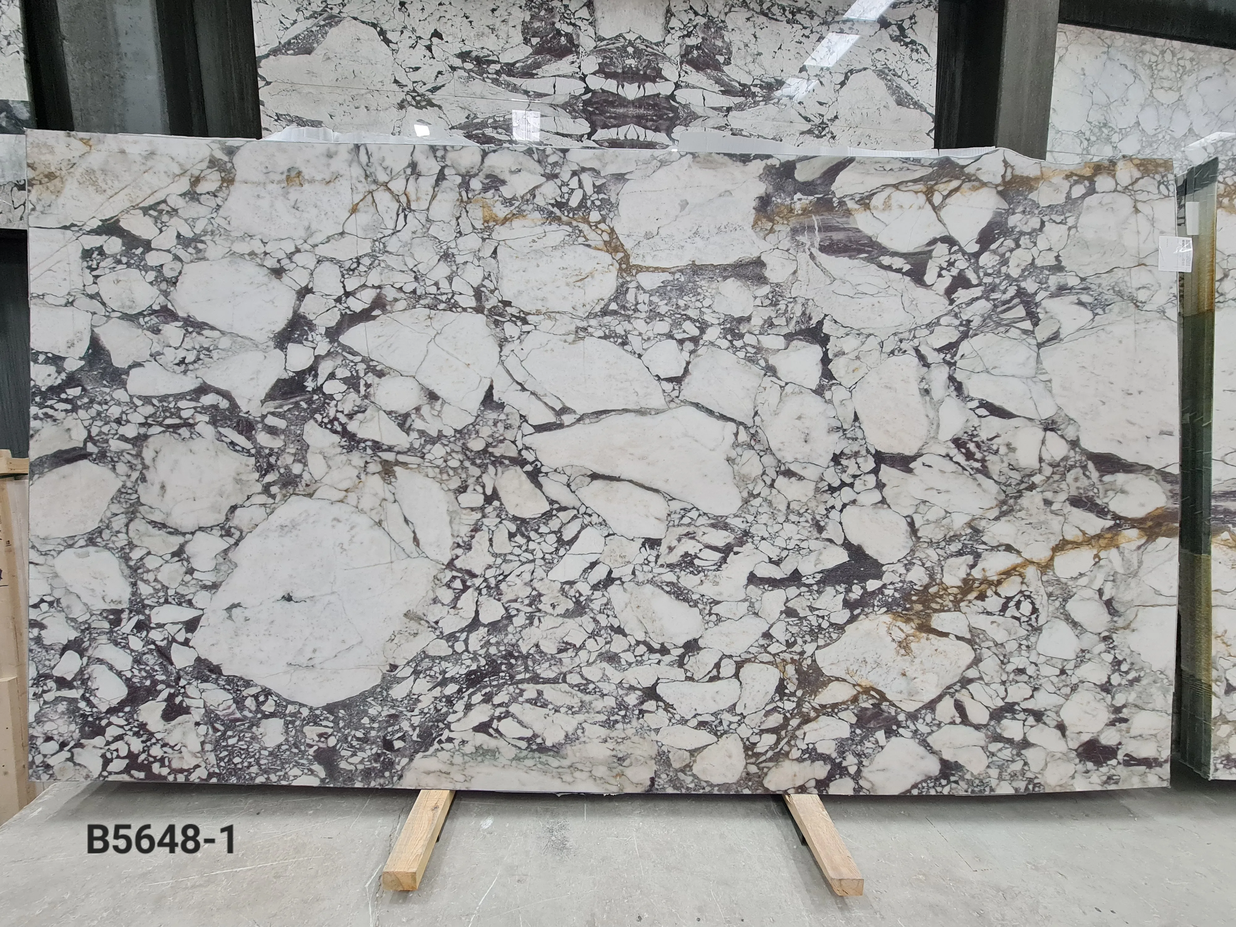 B5648 - 2 CM Calacatta Viola Honed