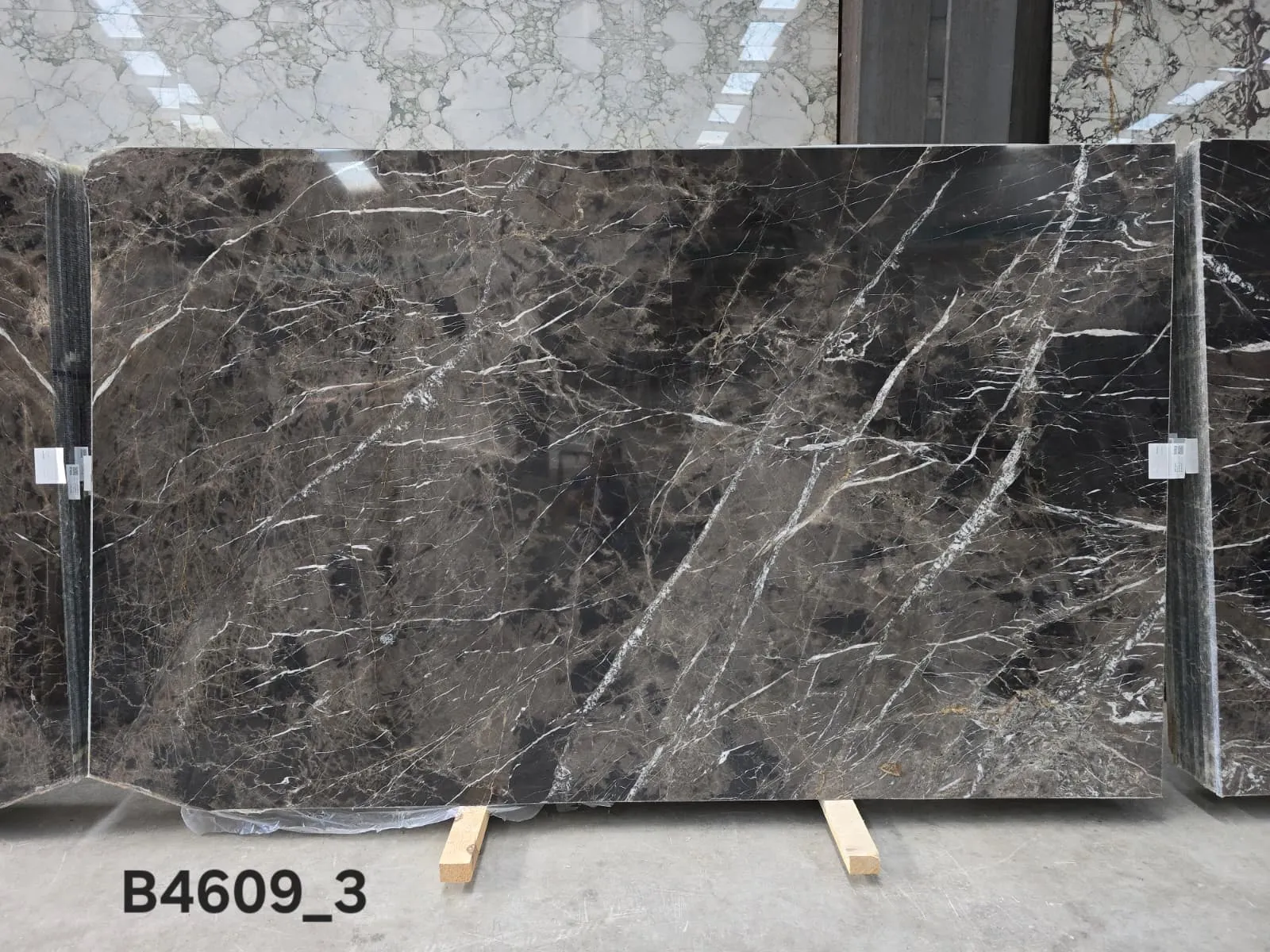 B4609 - 2 CM Bruno Perla Polished