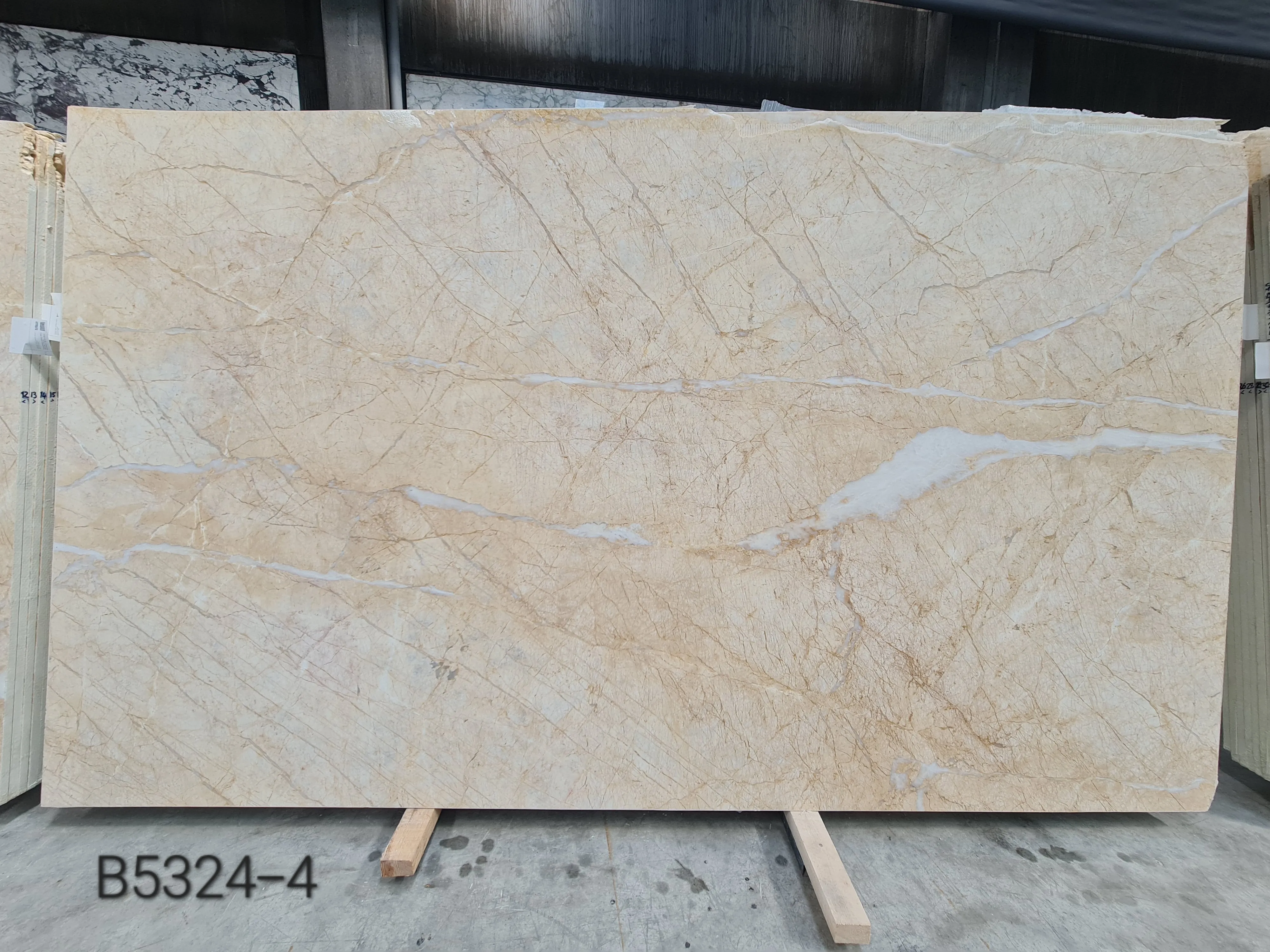 B5324 - 2 CM Golden Spider Dolomite Honed