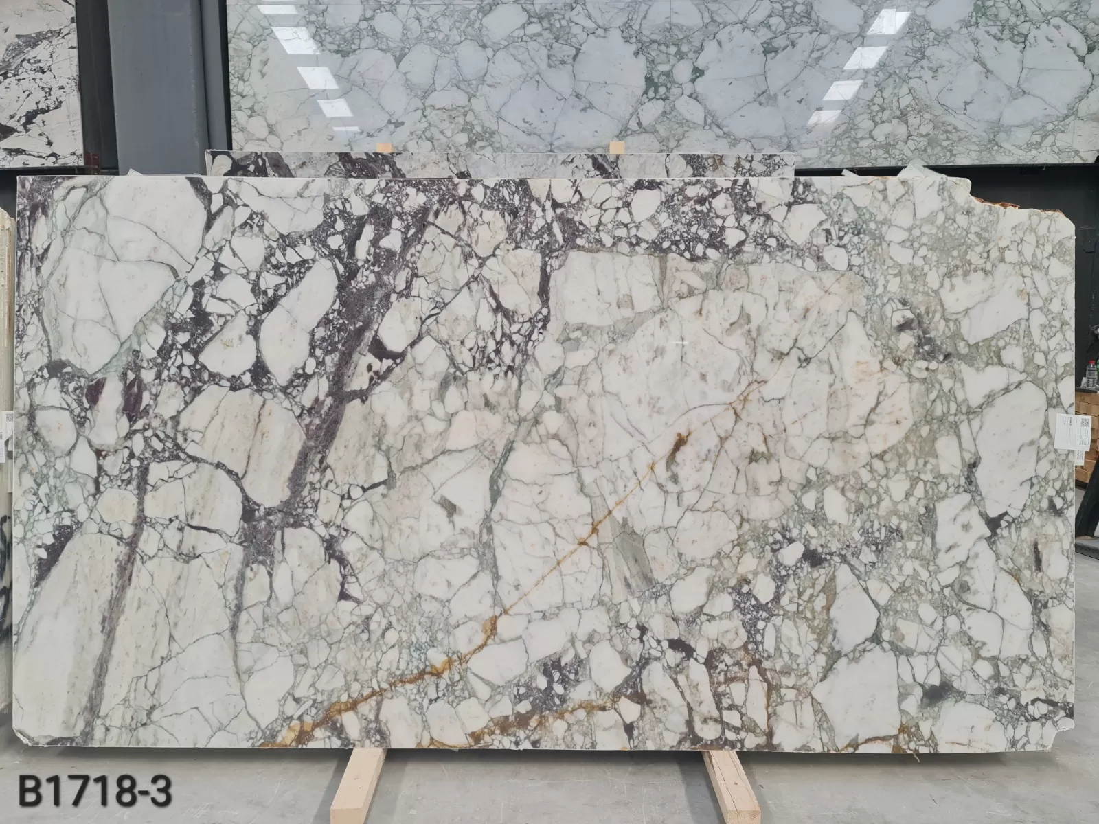 B1718 - 2 CM Calacatta Monet Viola Polished