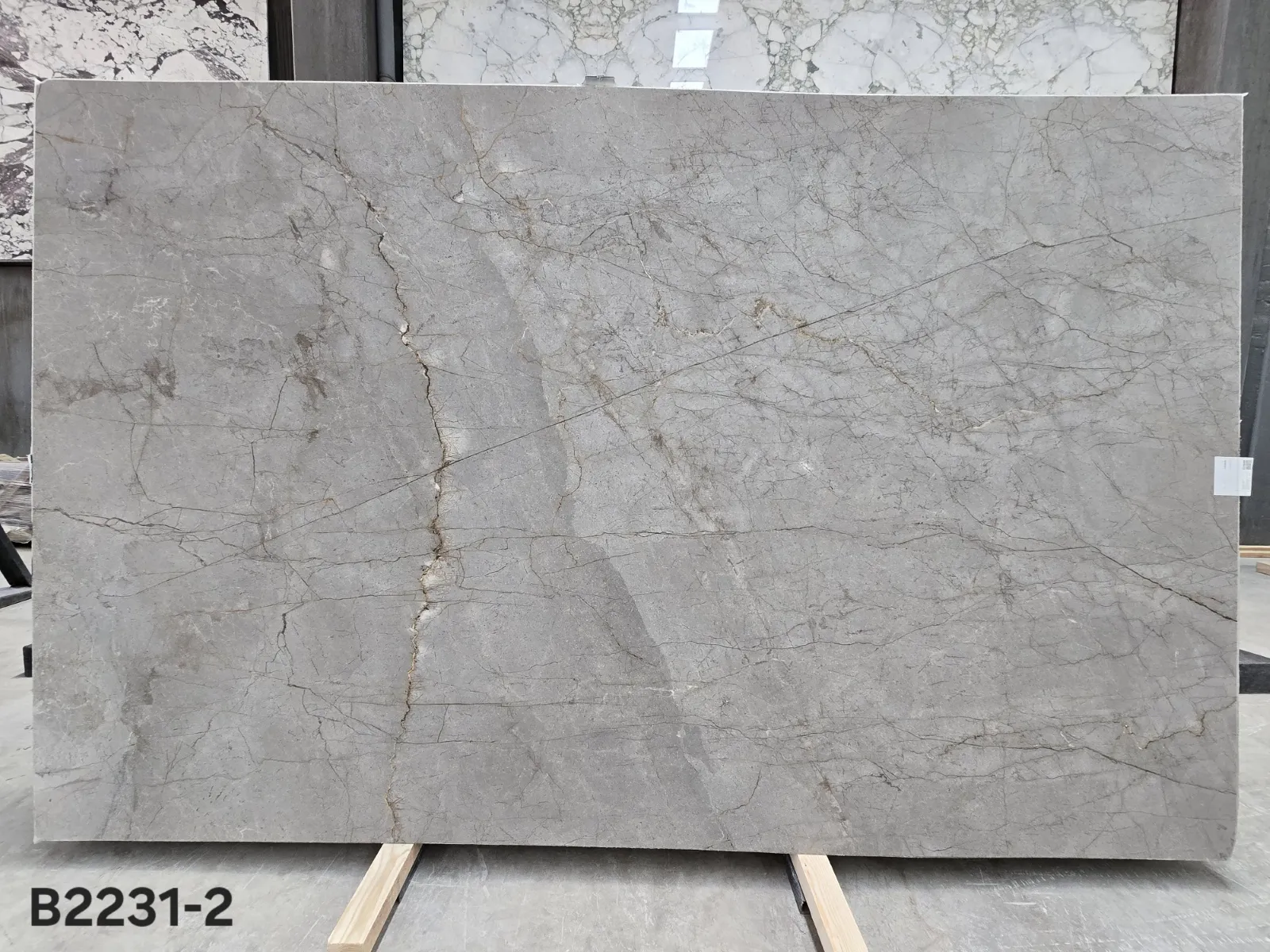 B2231 - 2 CM Silver Roots Honed
