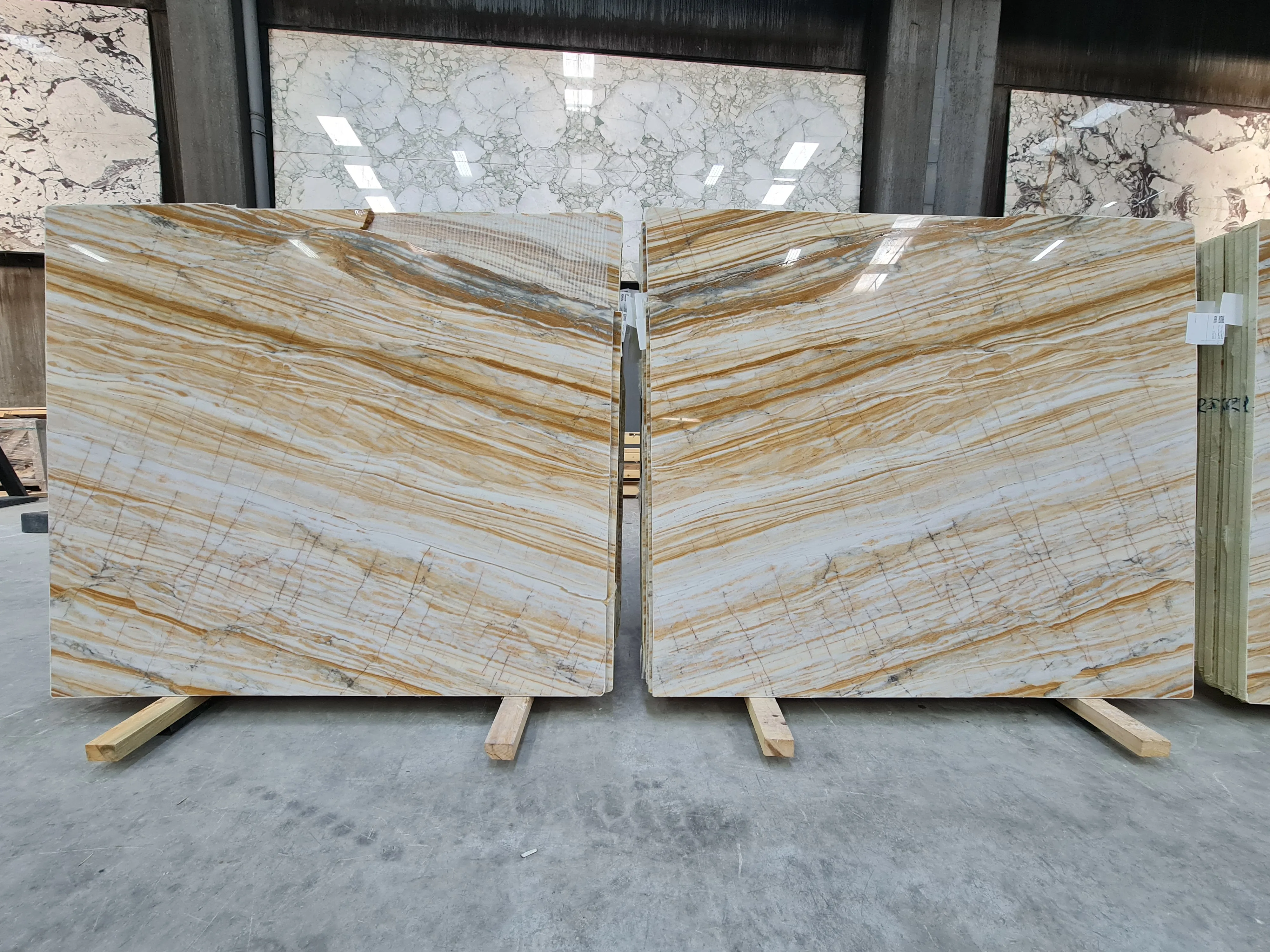 B5573 - 2 CM Giallo Zebrino Polished