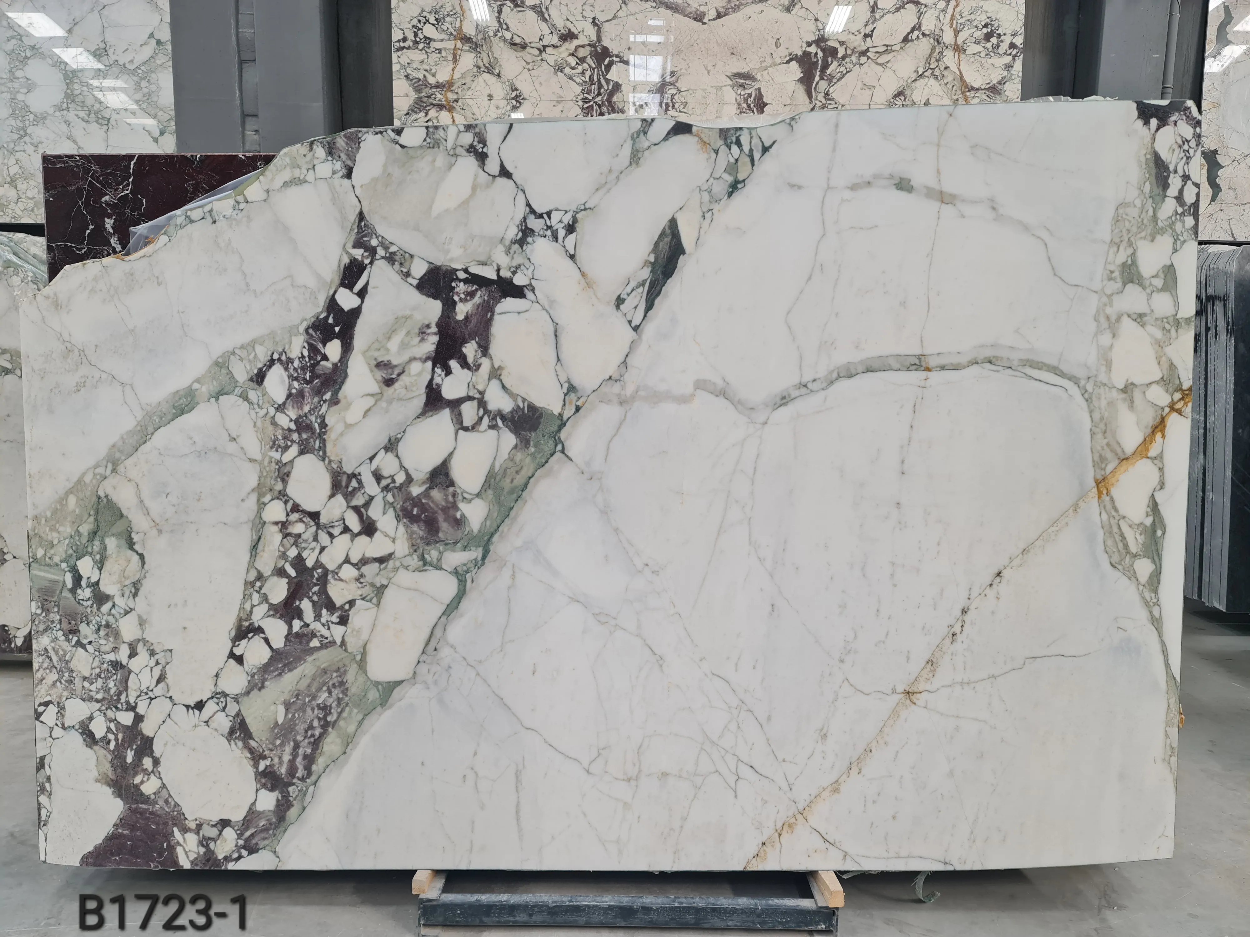 B1723 - 2 CM Calacatta Viola Polished