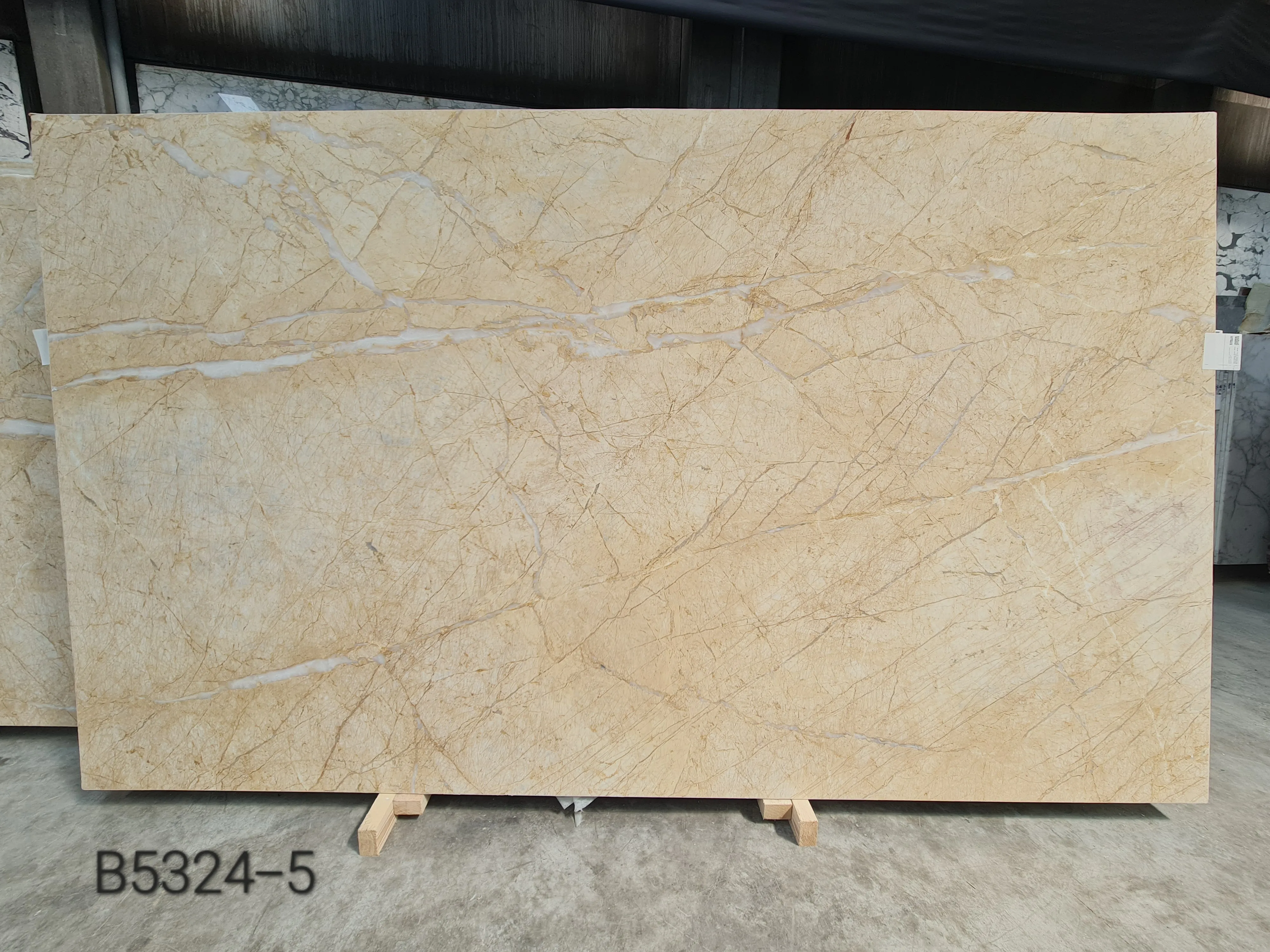 B5324 - 2 CM Golden Spider Dolomite Honed