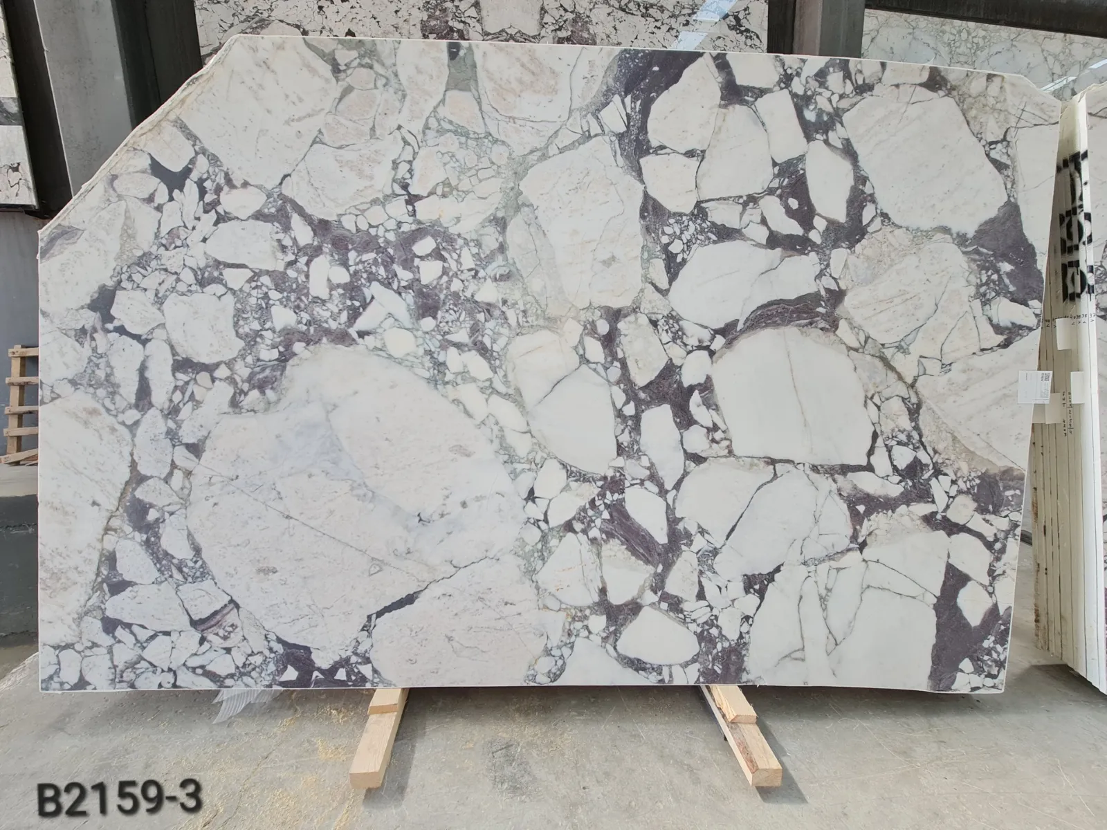 B2159 - Calacatta Viola Honed