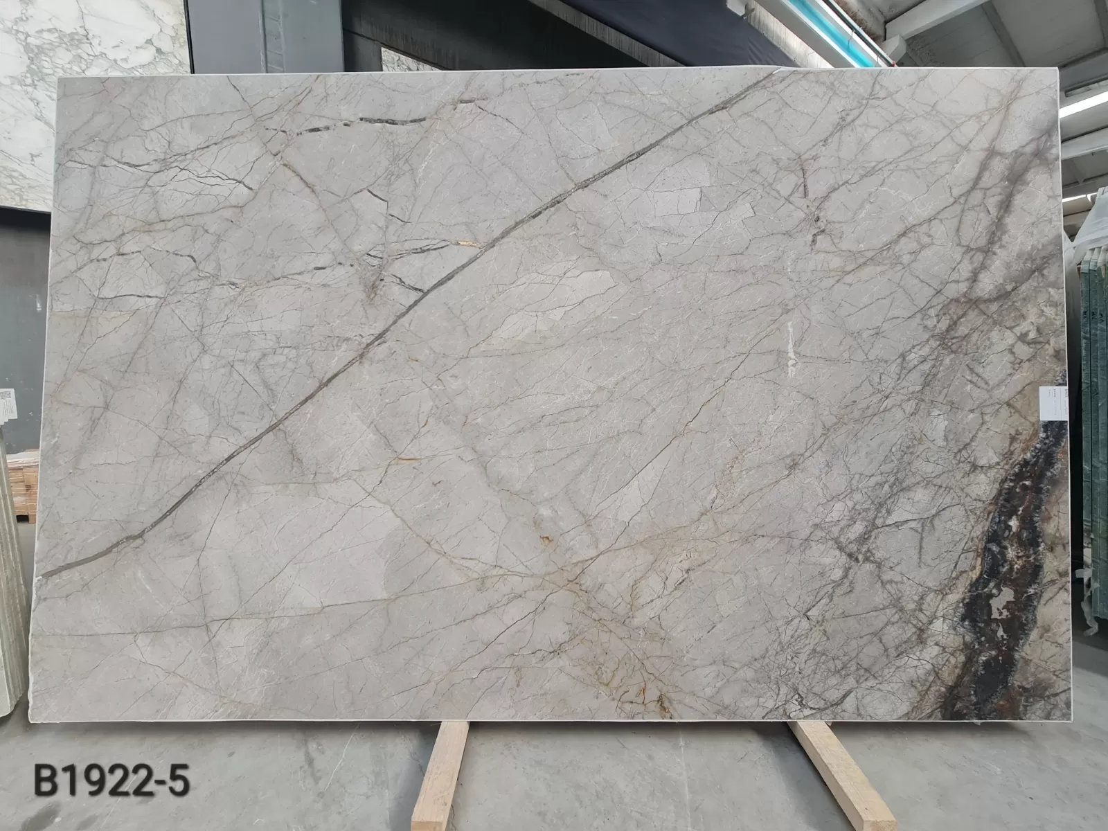 B1922 - 2 CM Silver Roots Honed