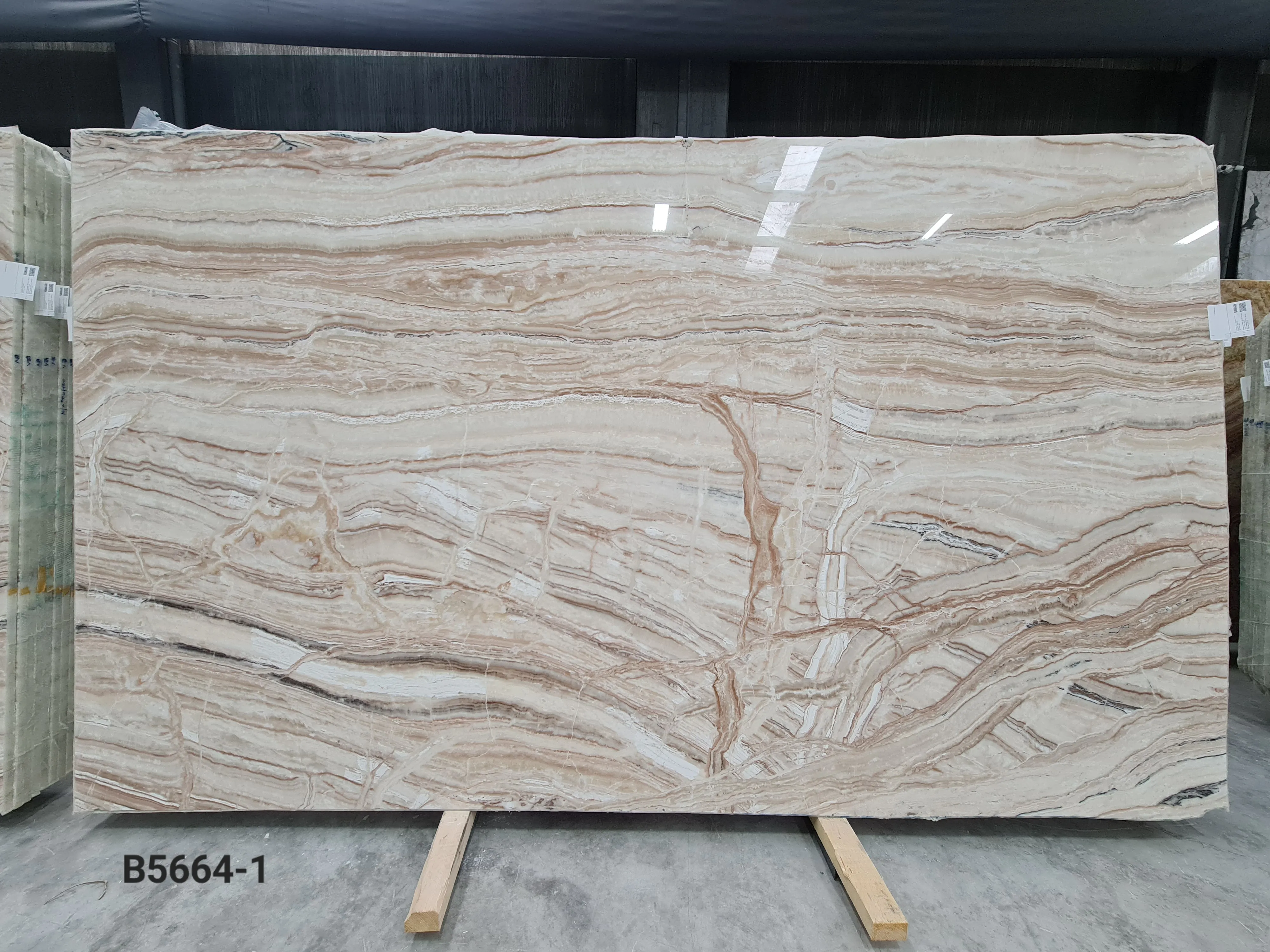 B5664 - 2 CM Jurassic Onyx Polished