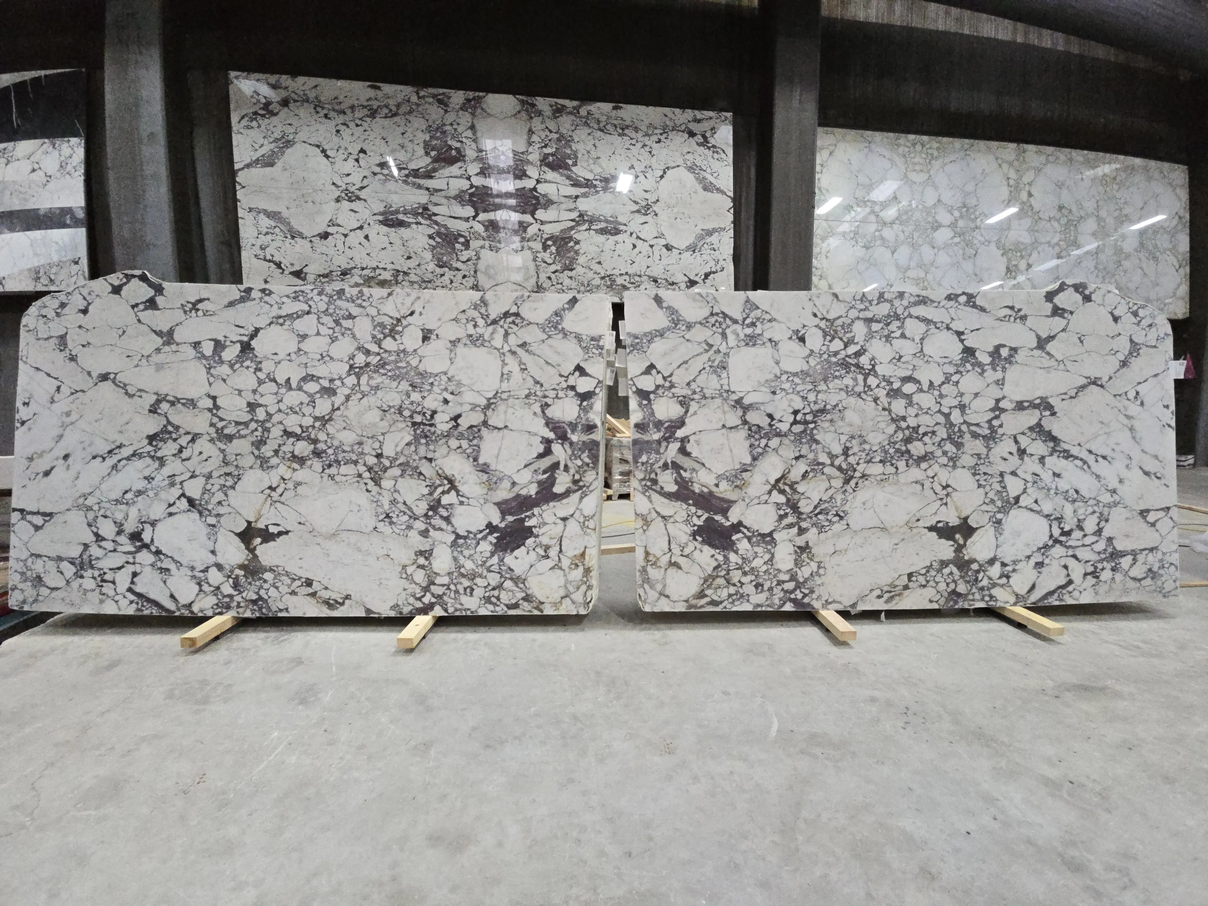 B5444 - 2 CM Calacatta Viola Honed